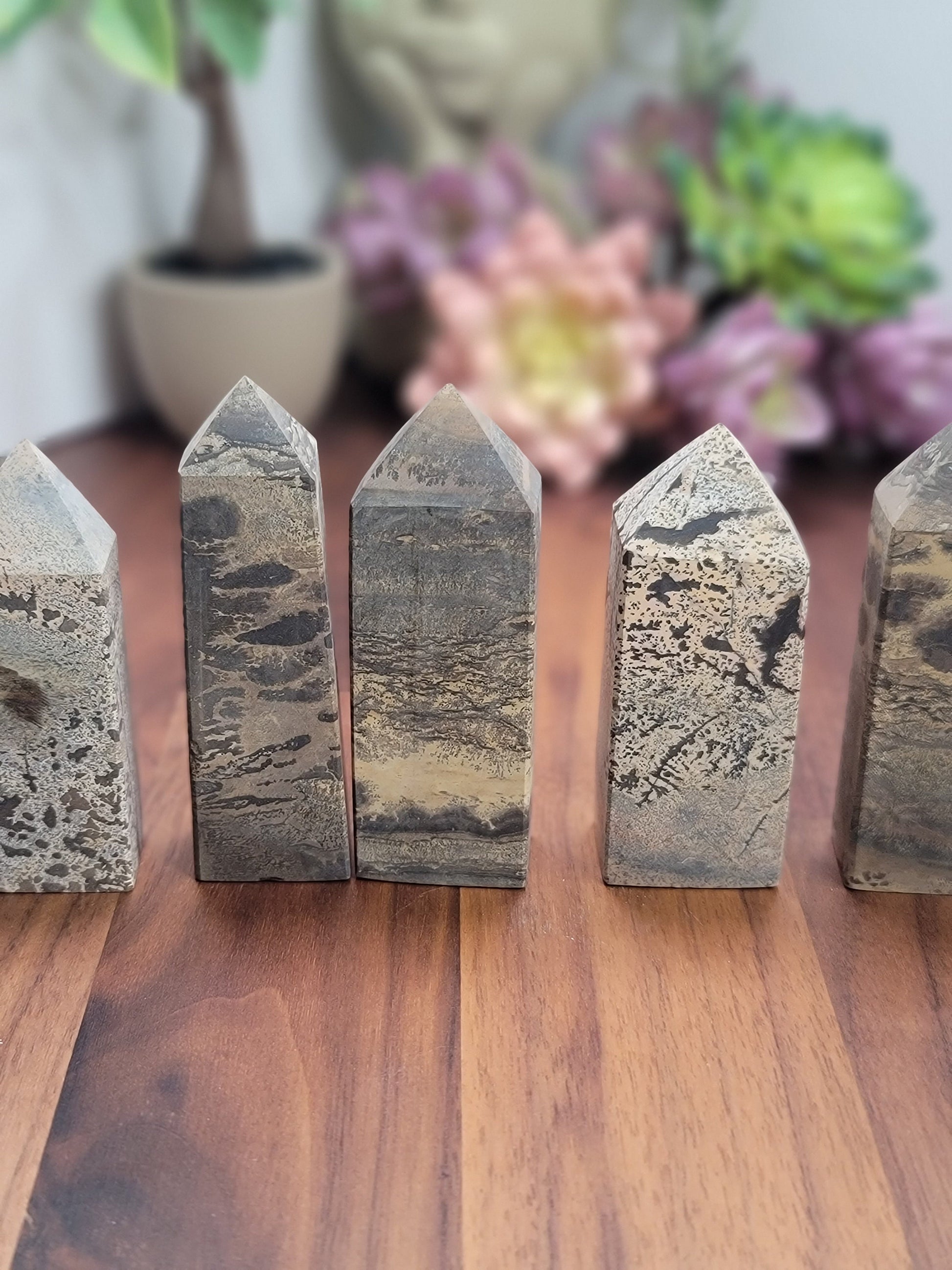Pretty Picture Jasper Tower | 3.5 Inches | Brown White and Black Crystal Point | Intuitively Chosen