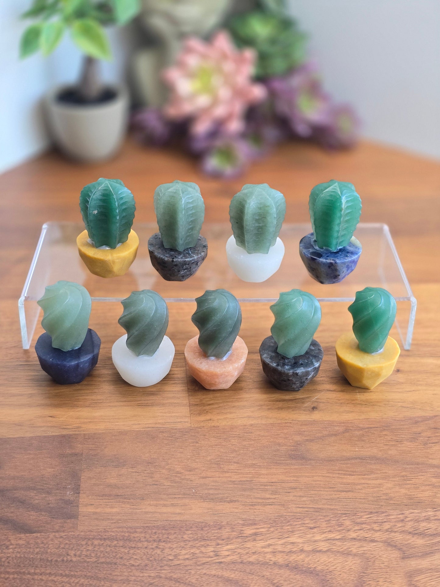 Cute Crystal Cactus Friends | Around 2" | Green Aventurine in Earthy Planters | Rock & Plant Lovers Unite! | Intuitively Chosen