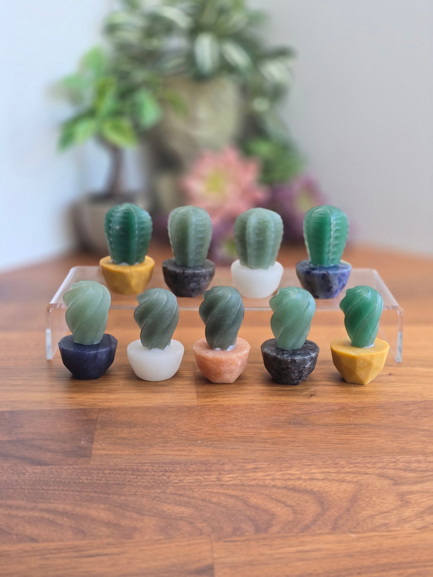 Cute Crystal Cactus Friends | Around 2" | Green Aventurine in Earthy Planters | Rock & Plant Lovers Unite! | Intuitively Chosen