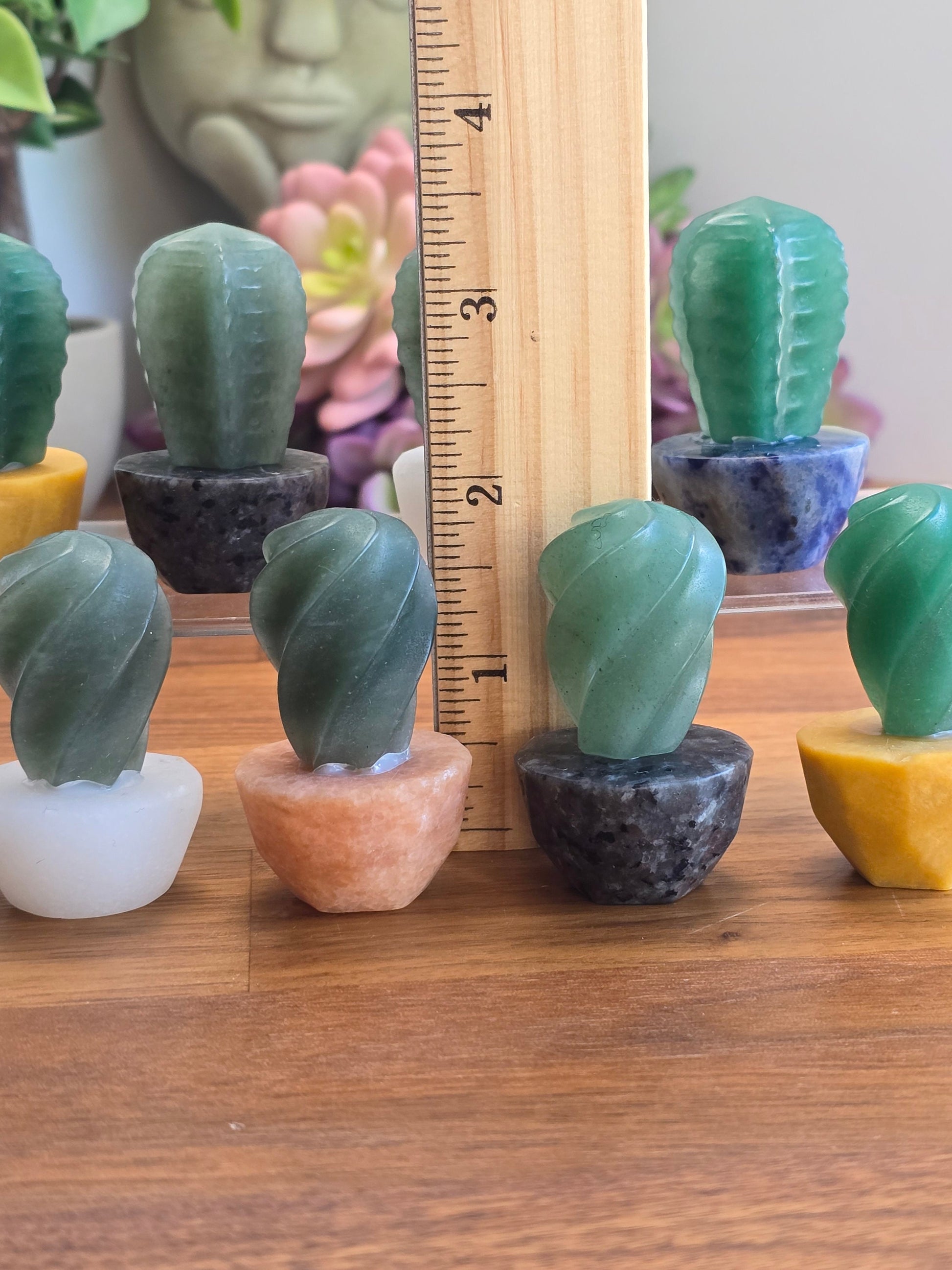 Cute Crystal Cactus Friends | Around 2" | Green Aventurine in Earthy Planters | Rock & Plant Lovers Unite! | Intuitively Chosen