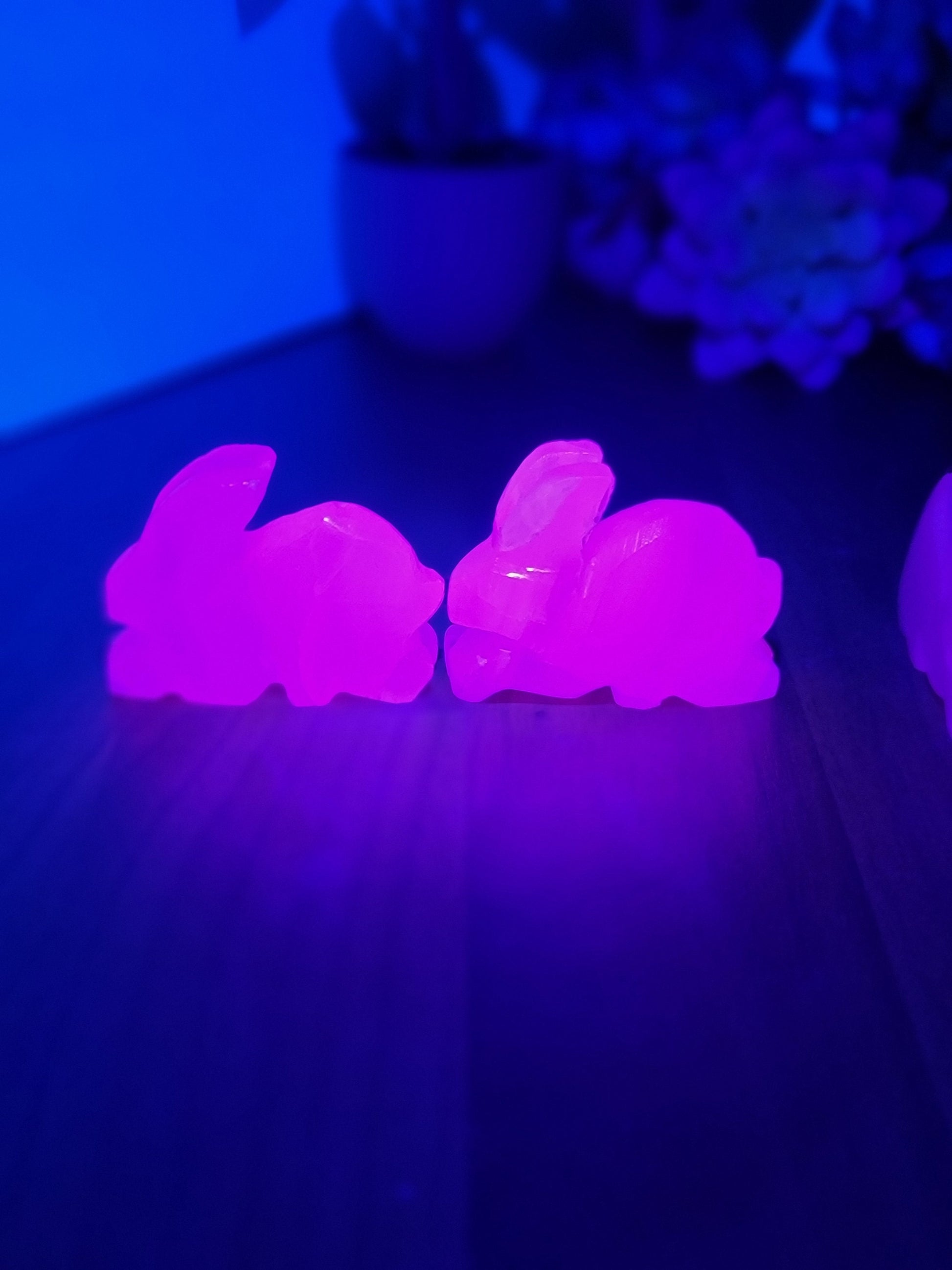 Pink Mangano Calcite Rabbit | Size | Neon Pink UV Reaction | Bunny | Intuitively Chosen