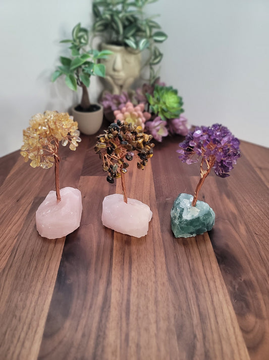 Crystal Trees | Around 5" | Citrine, Tiger's Eye & Amethyst in Crystal Base | Intuitively Chosen