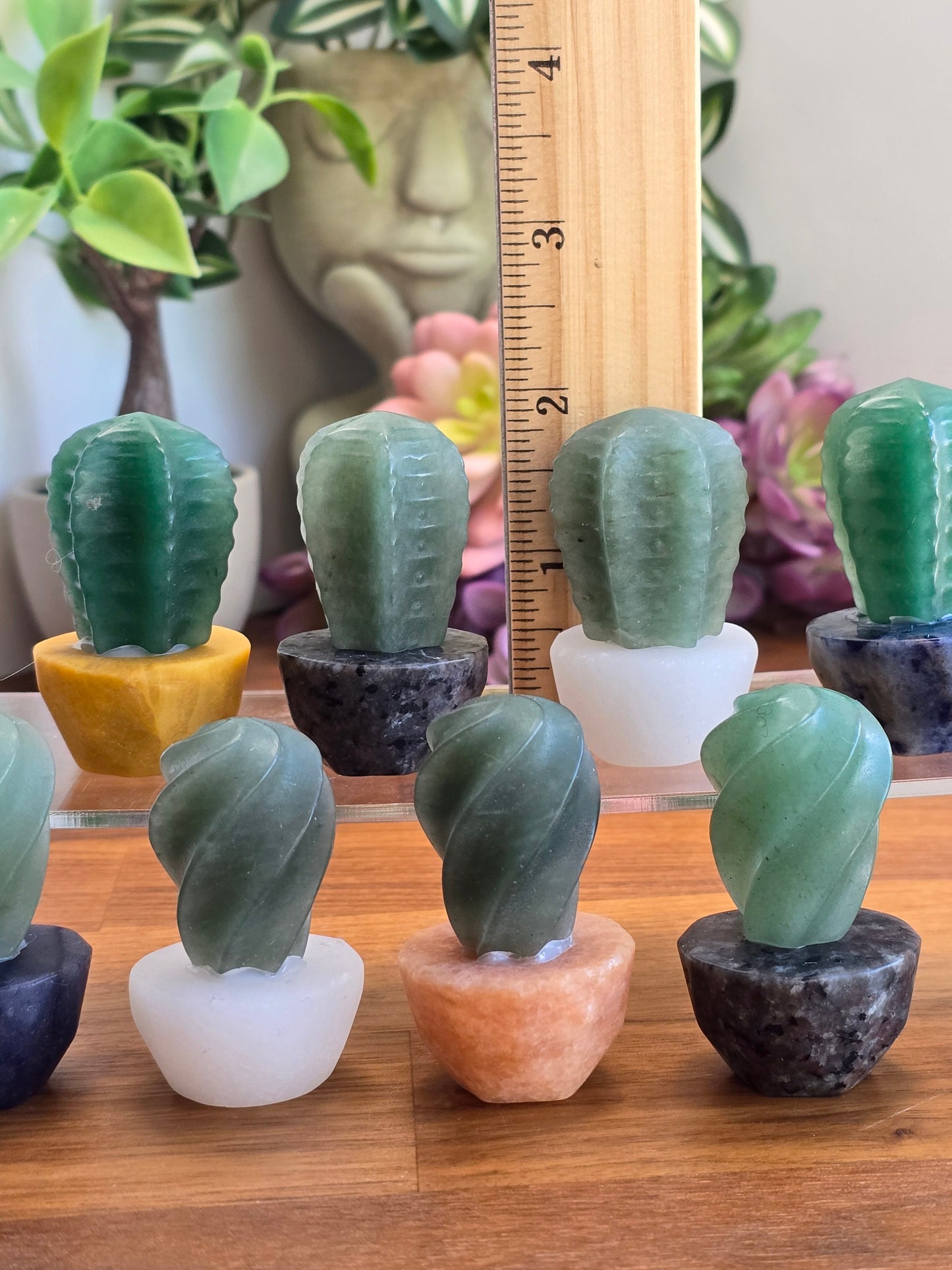 Cute Crystal Cactus Friends | Around 2" | Green Aventurine in Earthy Planters | Rock & Plant Lovers Unite! | Intuitively Chosen