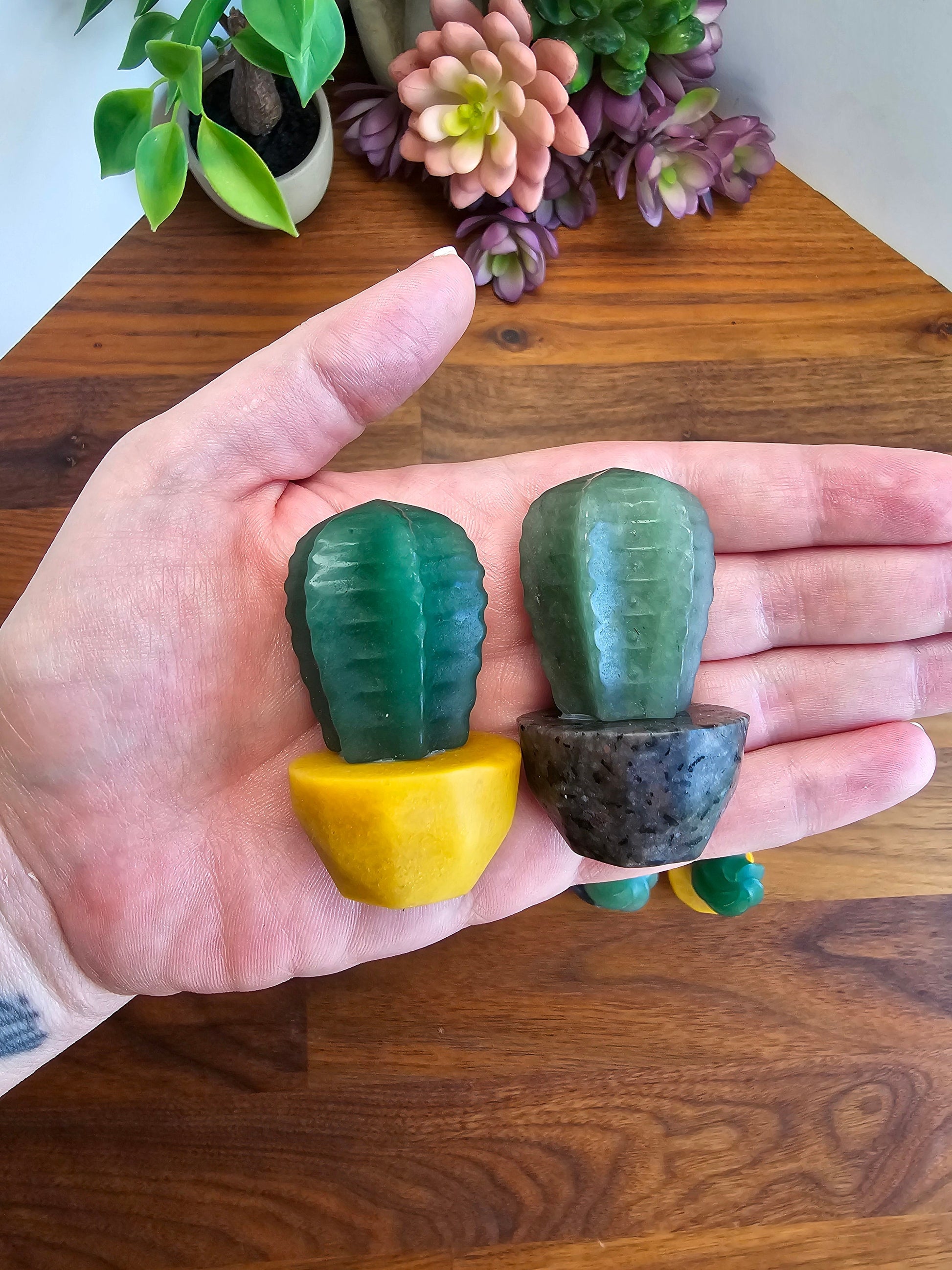 Cute Crystal Cactus Friends | Around 2" | Green Aventurine in Earthy Planters | Rock & Plant Lovers Unite! | Intuitively Chosen