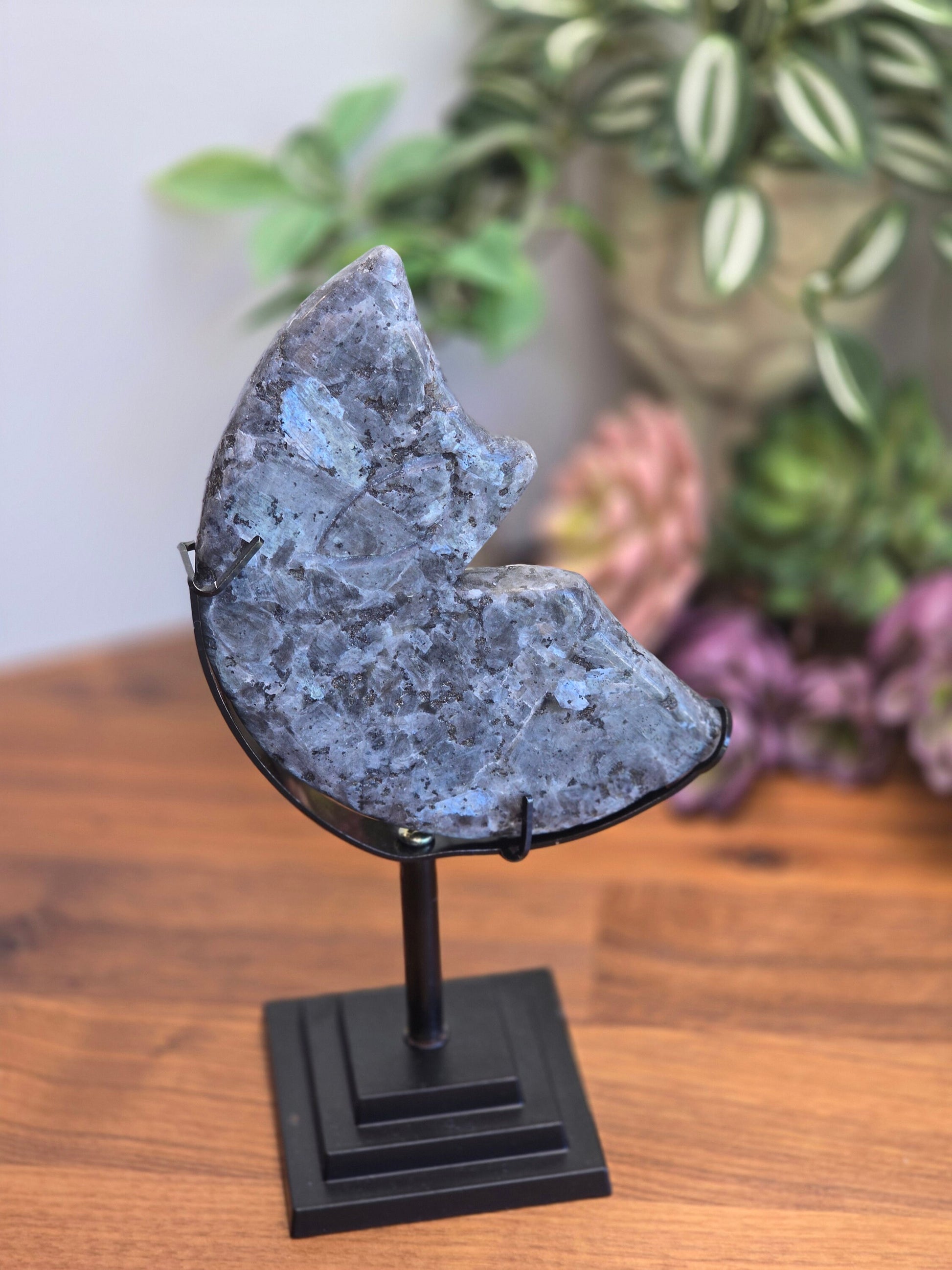 Laughing Larvakite Moon | Large Crescent Moon Crystal | Happy Smiling Gray Moon with Blue Flashes | Big Crystals | Statement | Only One!