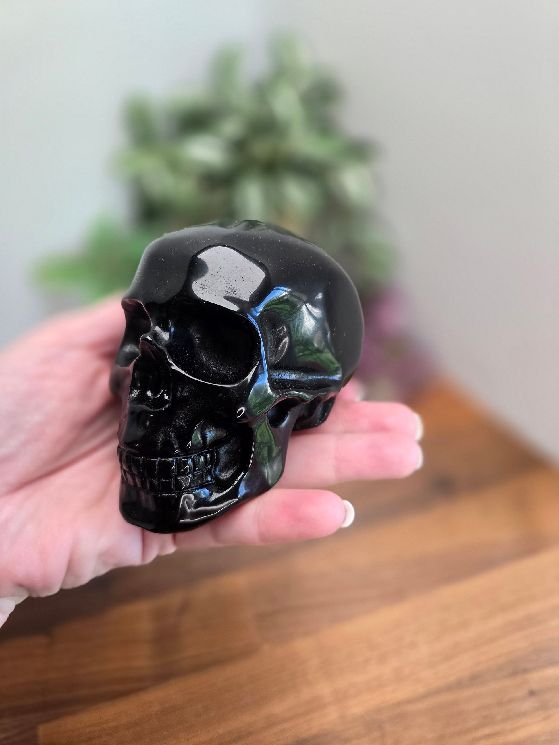 Stunning Obsidian Skull | 4" Glossy Black Crystal Carving for Halloween or Spooky Season Decor | Edgar Allen Poe Core | Summerween Favorites