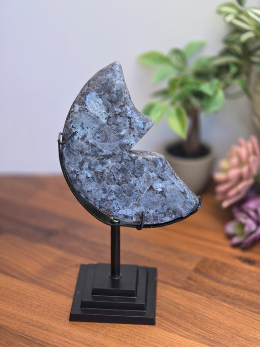 Laughing Larvakite Moon | Large Crescent Moon Crystal | Happy Smiling Gray Moon with Blue Flashes | Big Crystals | Statement | Only One!