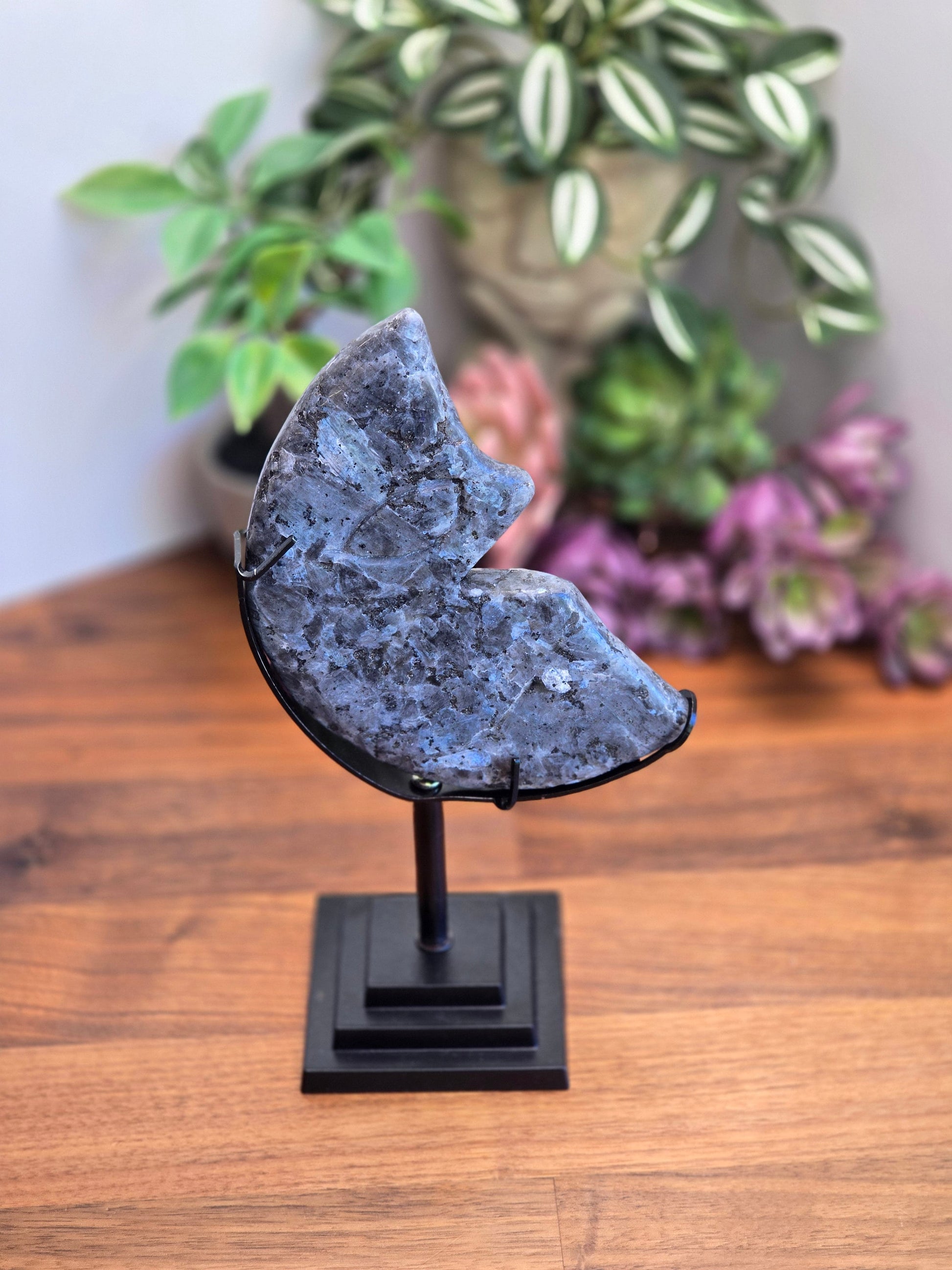 Laughing Larvakite Moon | Large Crescent Moon Crystal | Happy Smiling Gray Moon with Blue Flashes | Big Crystals | Statement | Only One!