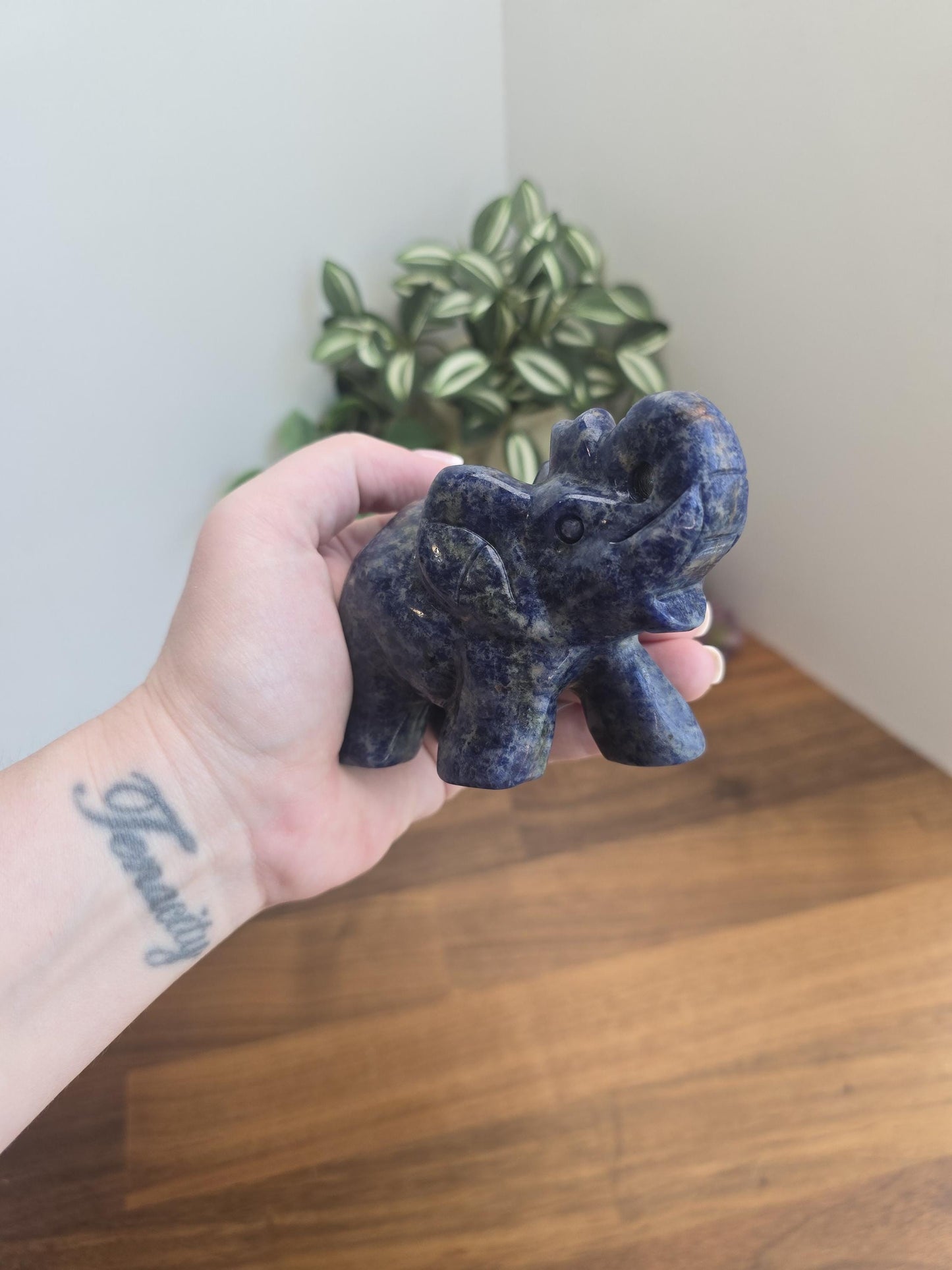 Blue Sodalite Elephant Crystal Carving | Contessa | Slight UV Reaction | 3.75 in X 2.75 in | Blue Black and White