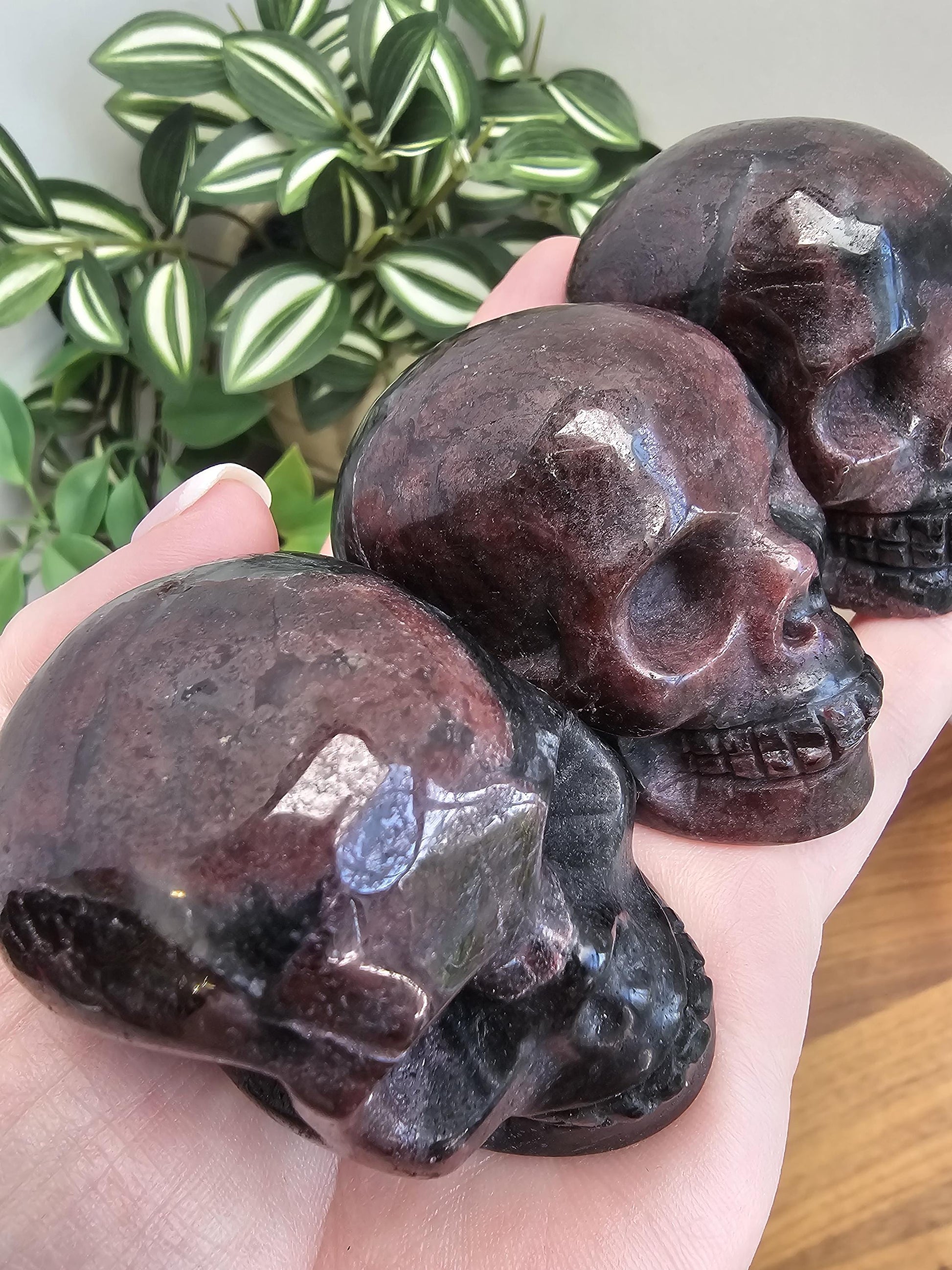 Fireworks Garnet Crystal Skull Carvings | 2" | Deep Crimson Plums | Flashy Black Astrophyllite | Arfvedsonite Stone | Spooky Halloween Decor