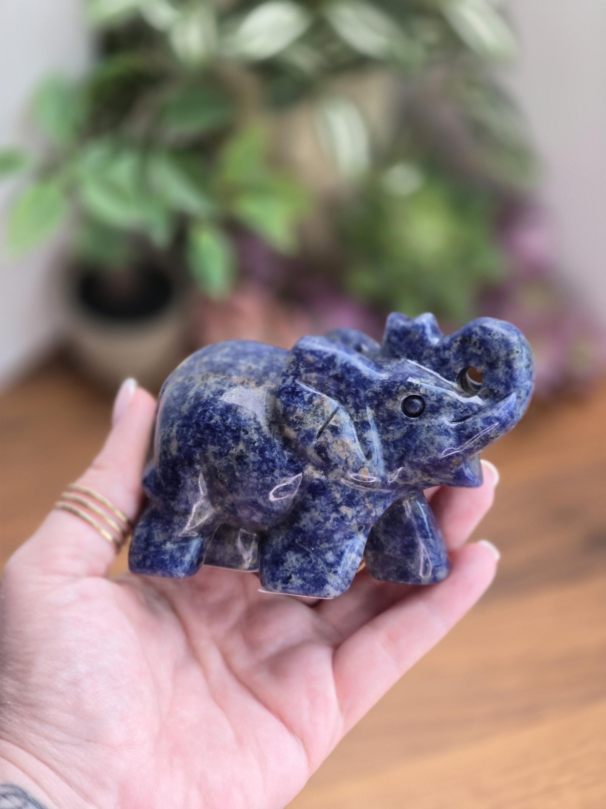 Sodalite Elephant Carving | Alesandra | 3.75 in X 2.75 | Blue Hand Carved Crystal for Kids Decor | Teen Bedroom Ideas | Unique Finds