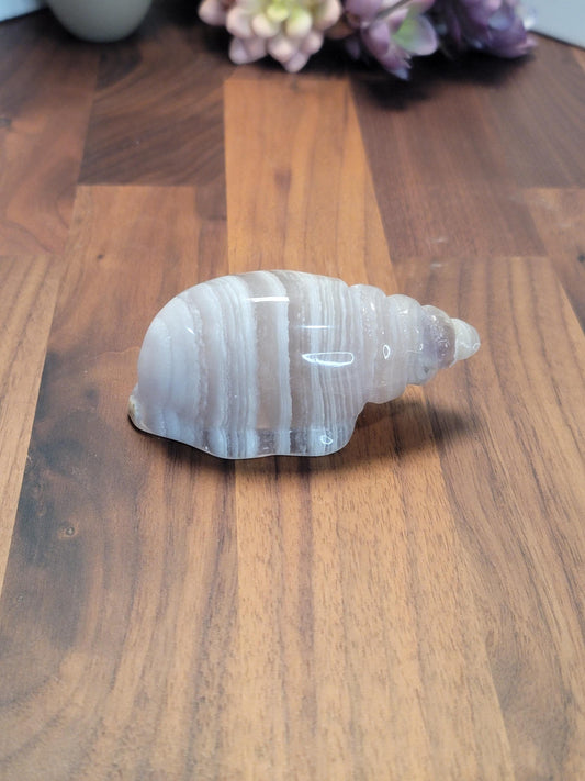 Fluorite Banded Seashell Crystal Carving | A | 3.75 Inches | White Gray and Pink | One of a Kind