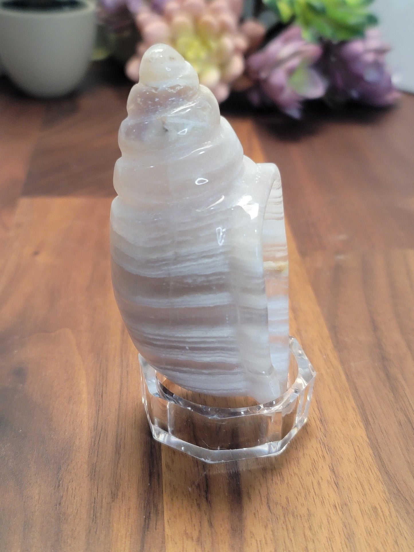 Fluorite Banded Seashell Crystal Carving | A | 3.75 Inches | White Gray and Pink | One of a Kind