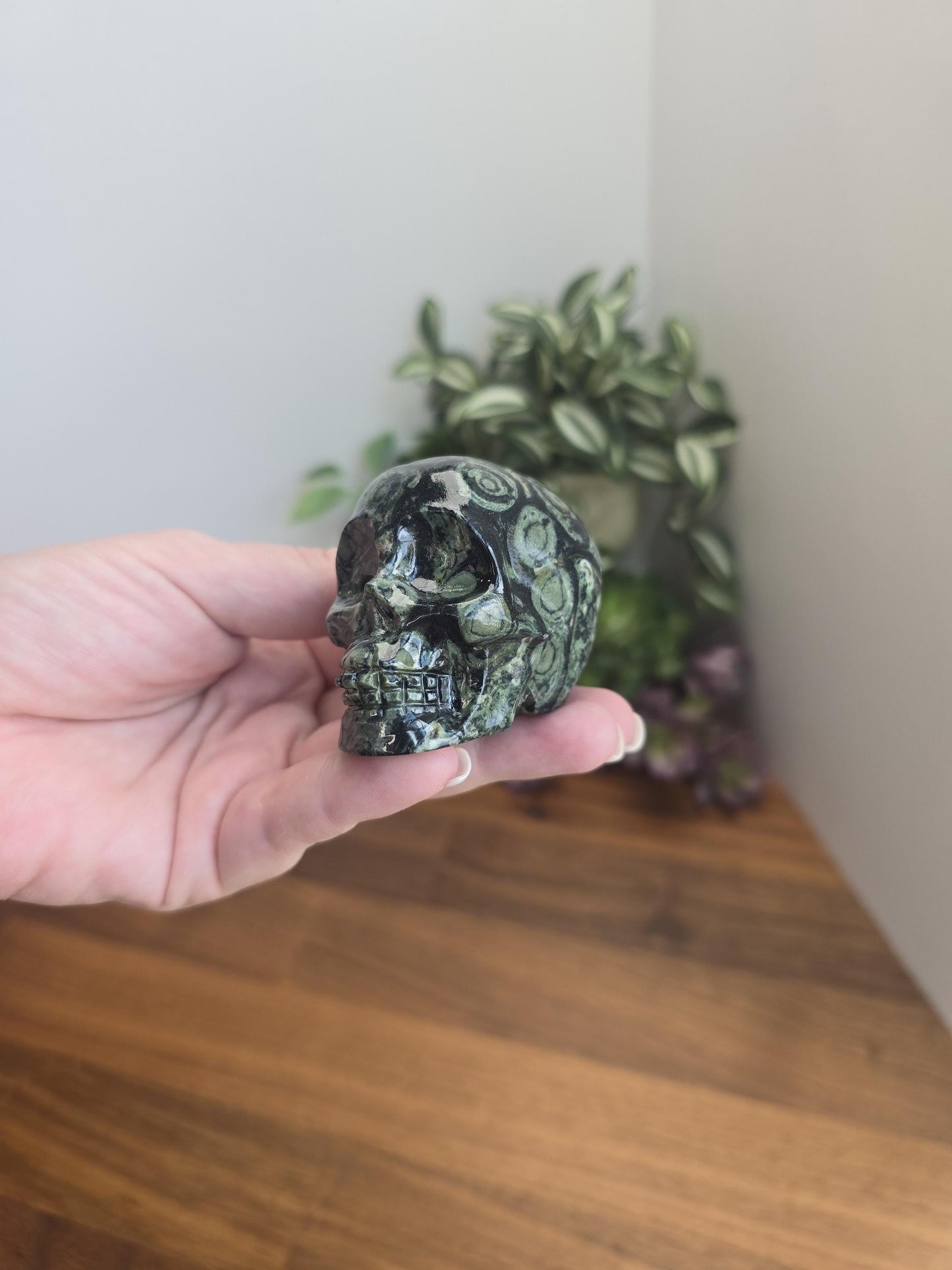 Kambaba Jasper Skull | 2.5" Antony Crystal Carving | Spooky Season & Summerween Decor | Green and Black Orbicular Patterns for Green Lovers