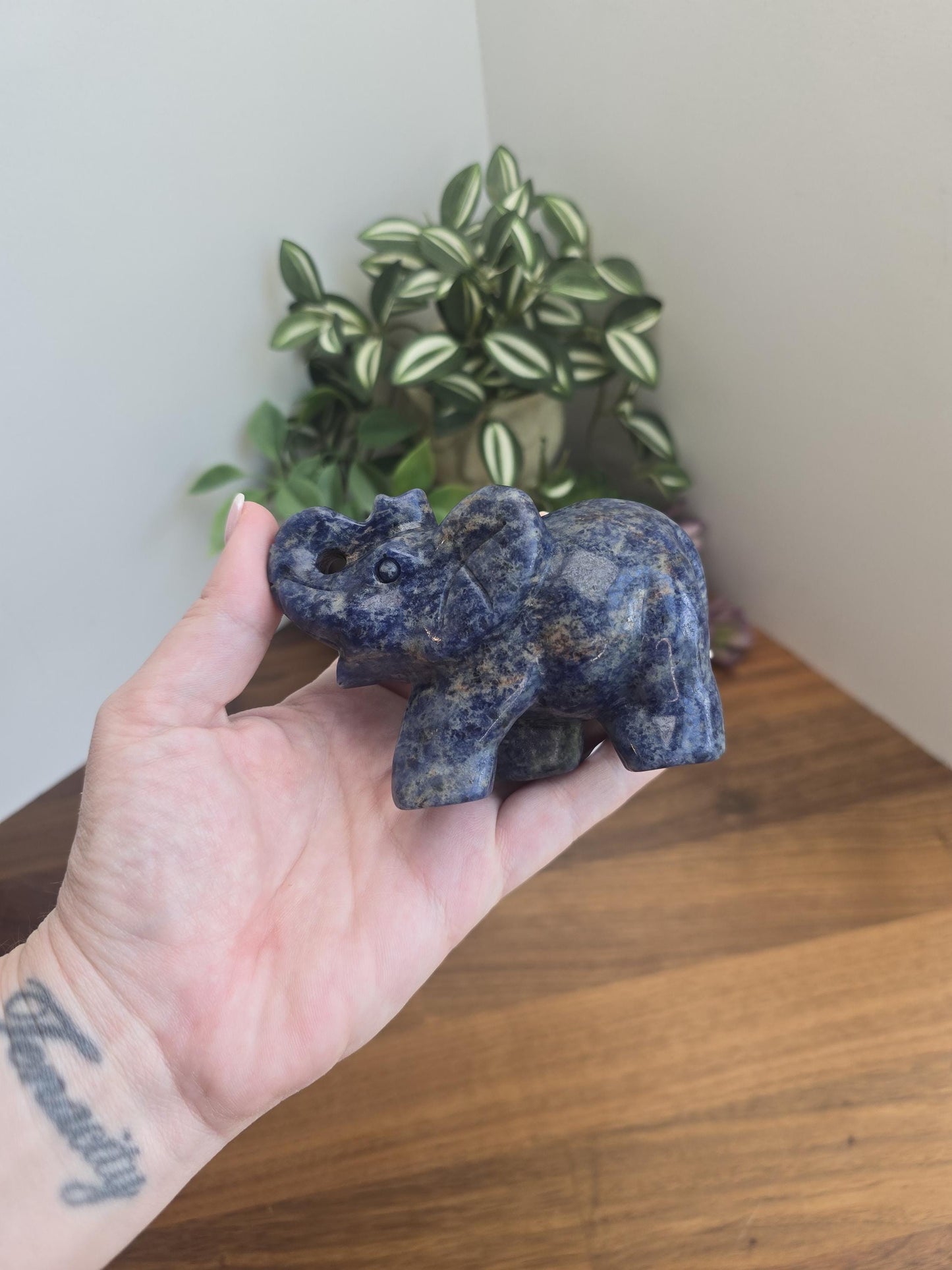 Blue Sodalite Elephant Crystal Carving | Contessa | Slight UV Reaction | 3.75 in X 2.75 in | Blue Black and White