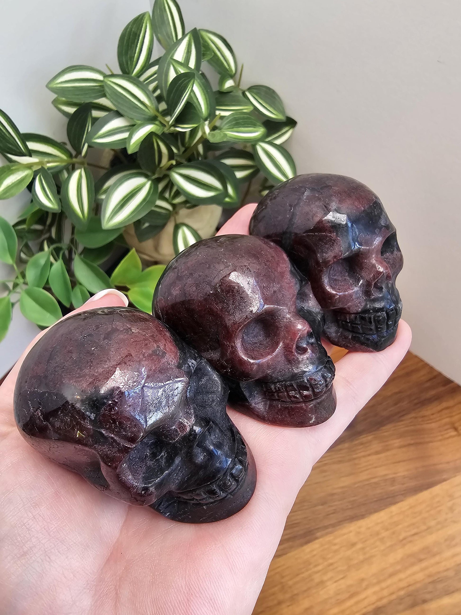 Fireworks Garnet Crystal Skull Carvings | 2" | Deep Crimson Plums | Flashy Black Astrophyllite | Arfvedsonite Stone | Spooky Halloween Decor