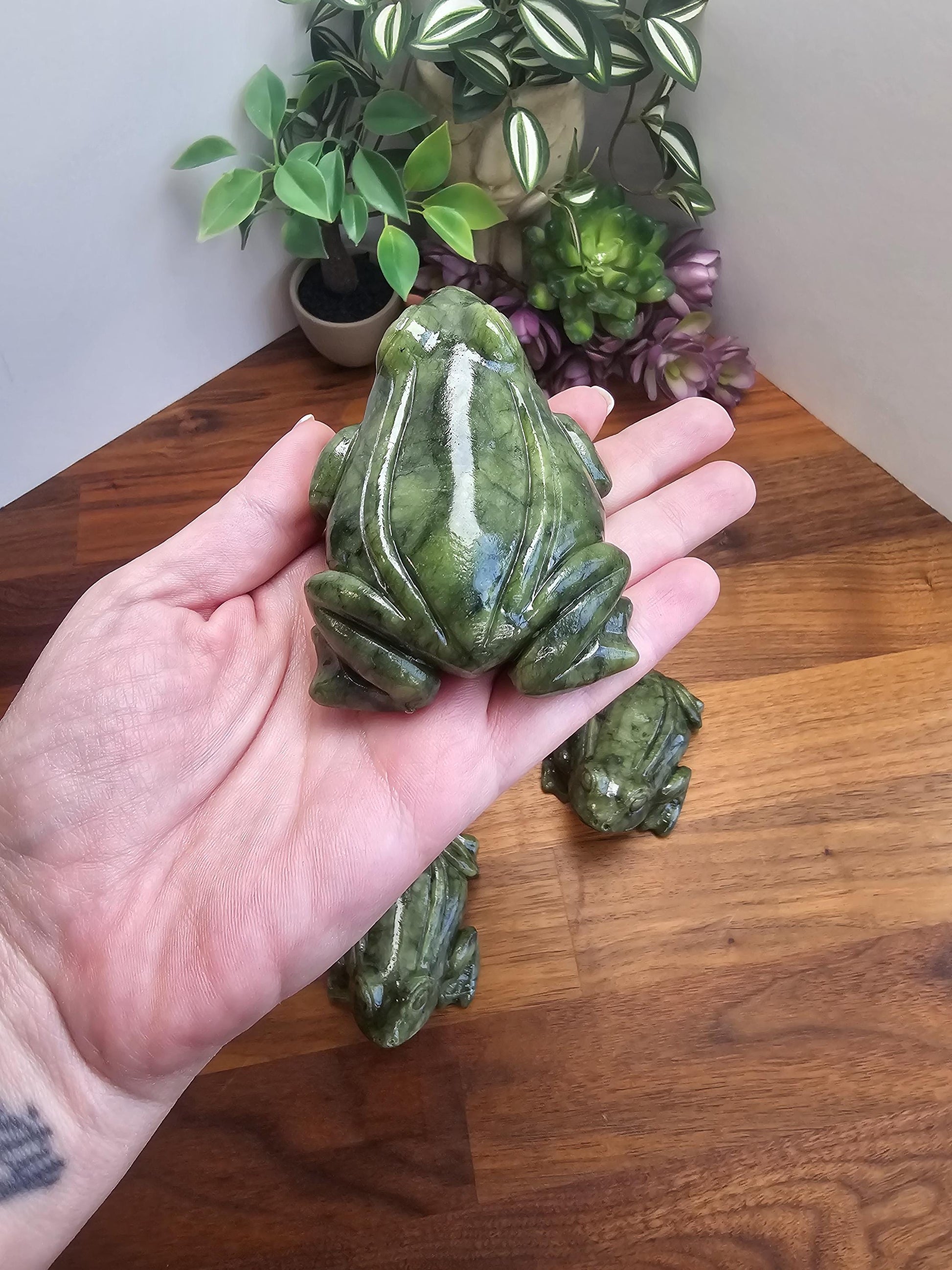 Green Jade Crystal Frog | Rainforest Amphibian Carving | 3 Inches | Deep Hunter and Sage Patterns | Toad Cottagecore | Intuitively Chosen