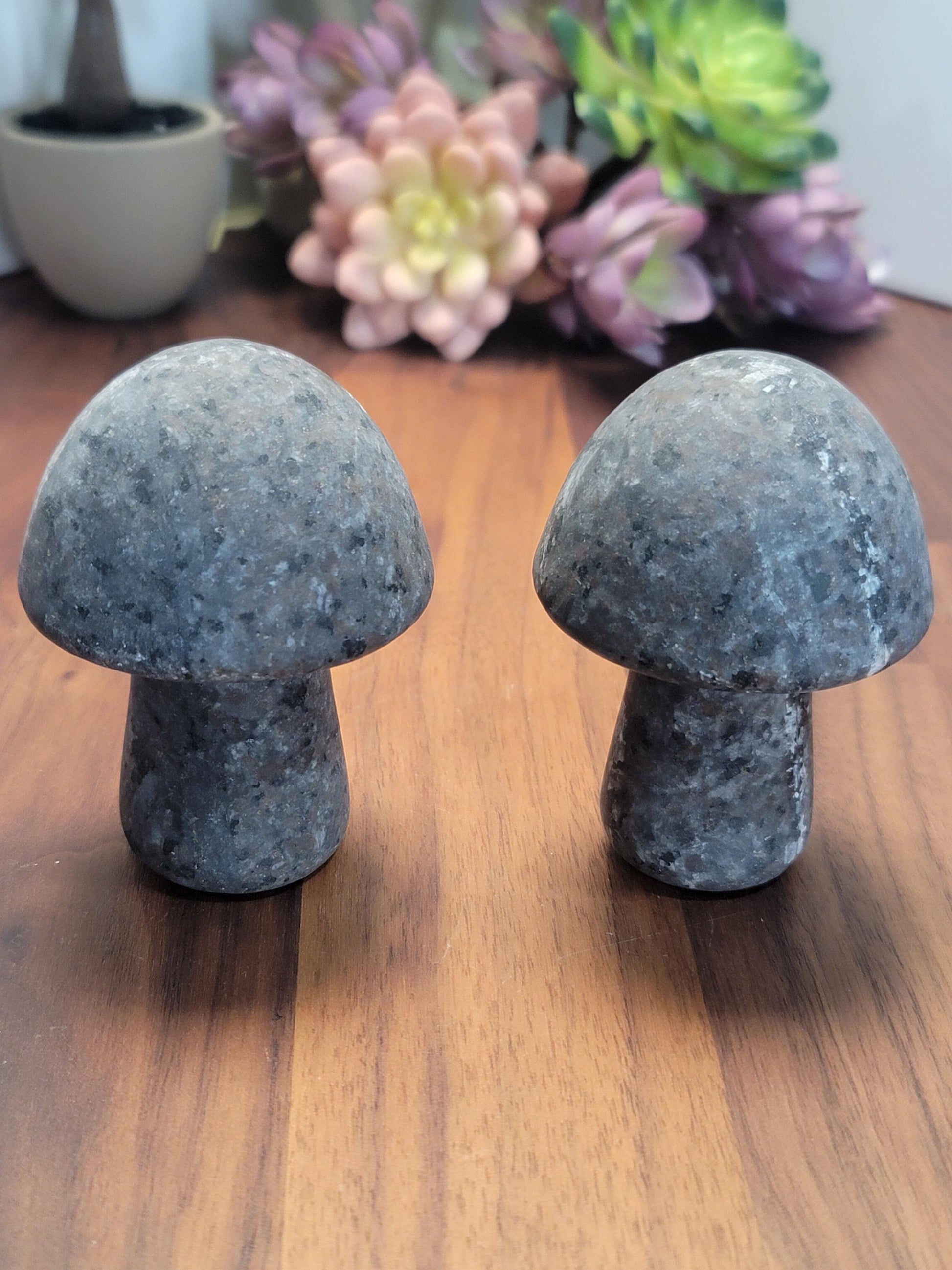 Mellow Yooperlite Mushroom Crystal Carving | 3 Inches | Gray, Black and White | UV Reactive | Intuitively Chosen