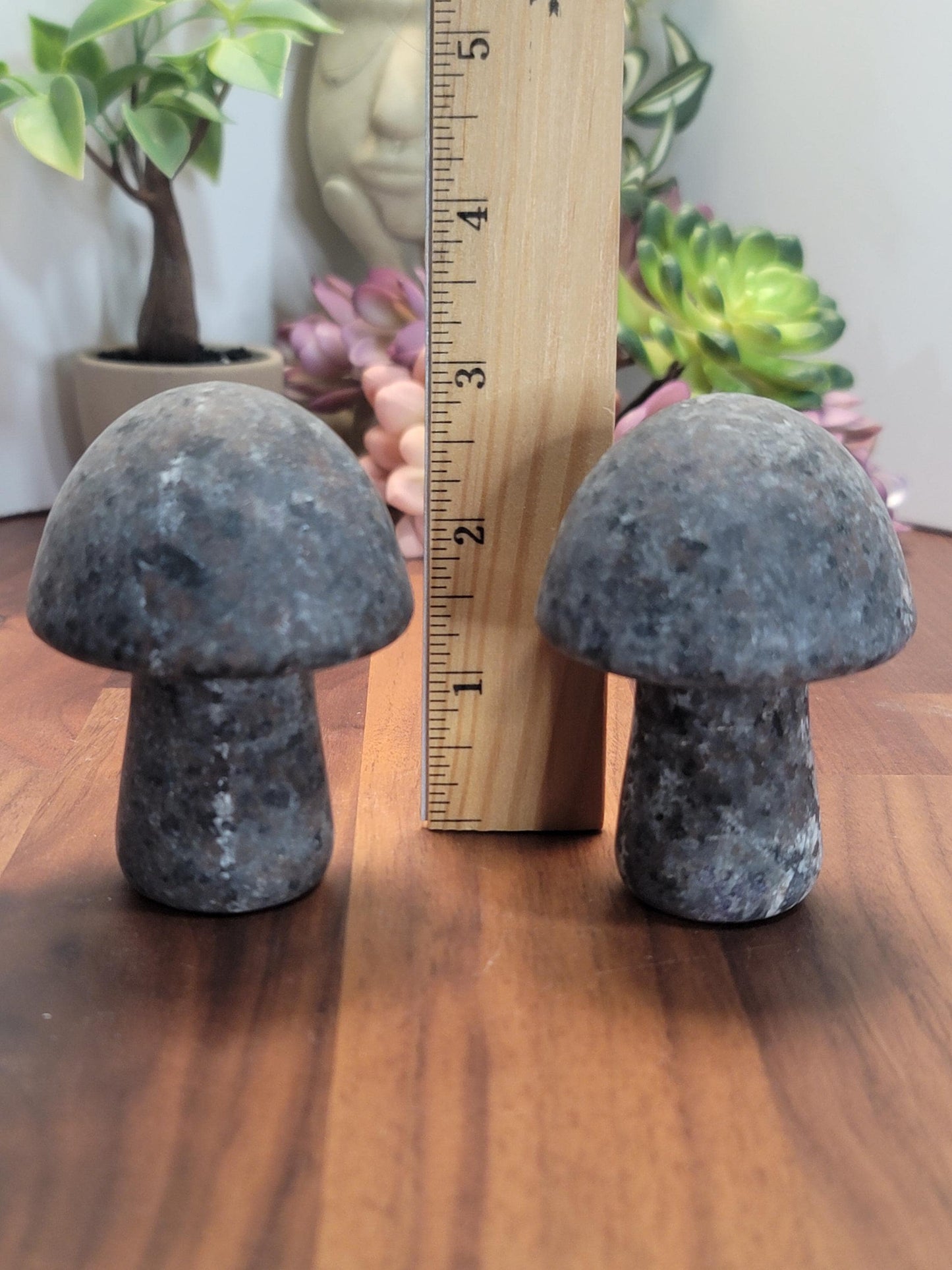 Mellow Yooperlite Mushroom Crystal Carving | 3 Inches | Gray, Black and White | UV Reactive | Intuitively Chosen