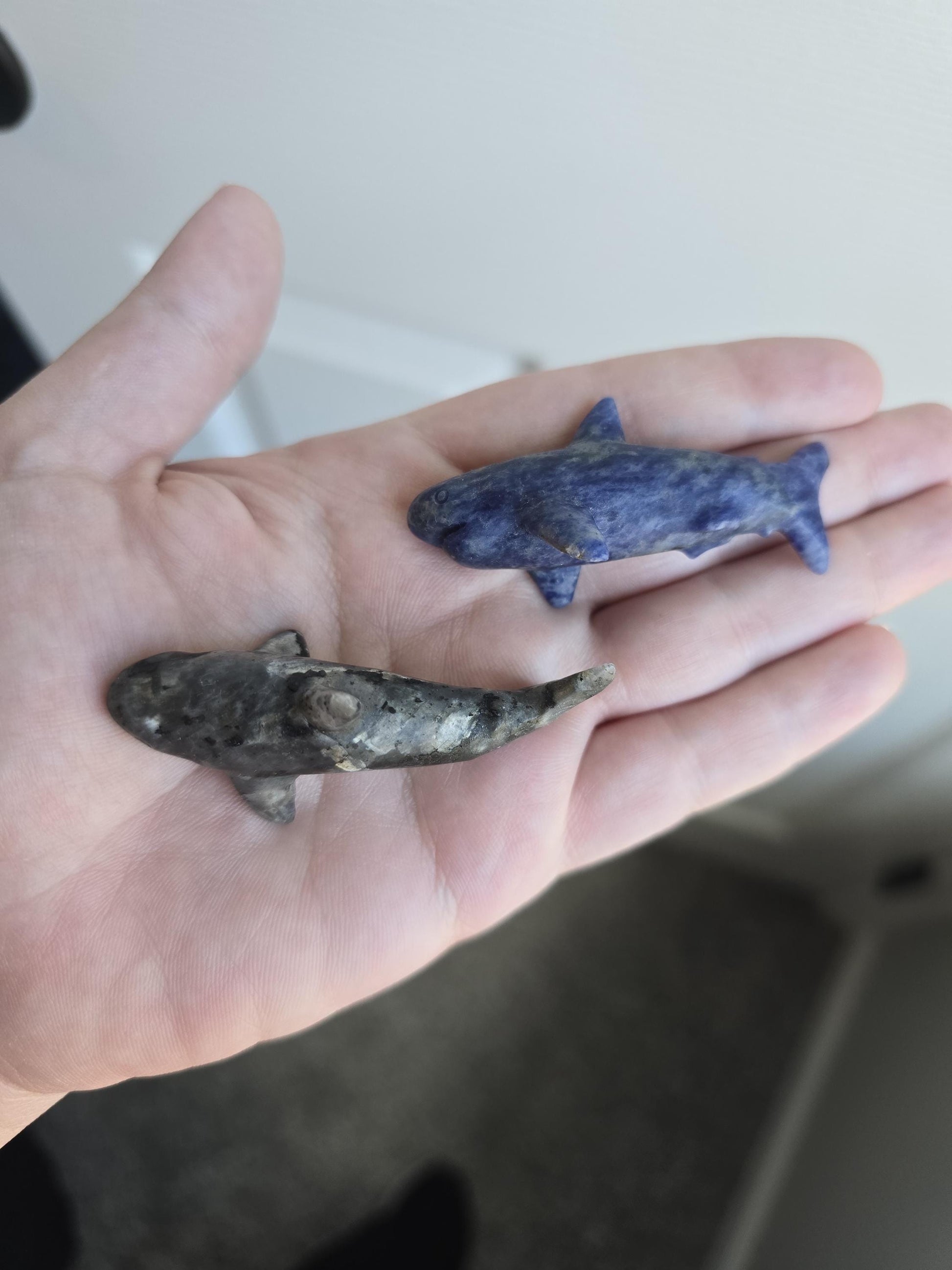 Larvakite Sodalite Shark Carvings | Crystal Sharks | Ocean Creatures | Flashy Lab Jaws | 3D | Intuitively Chosen