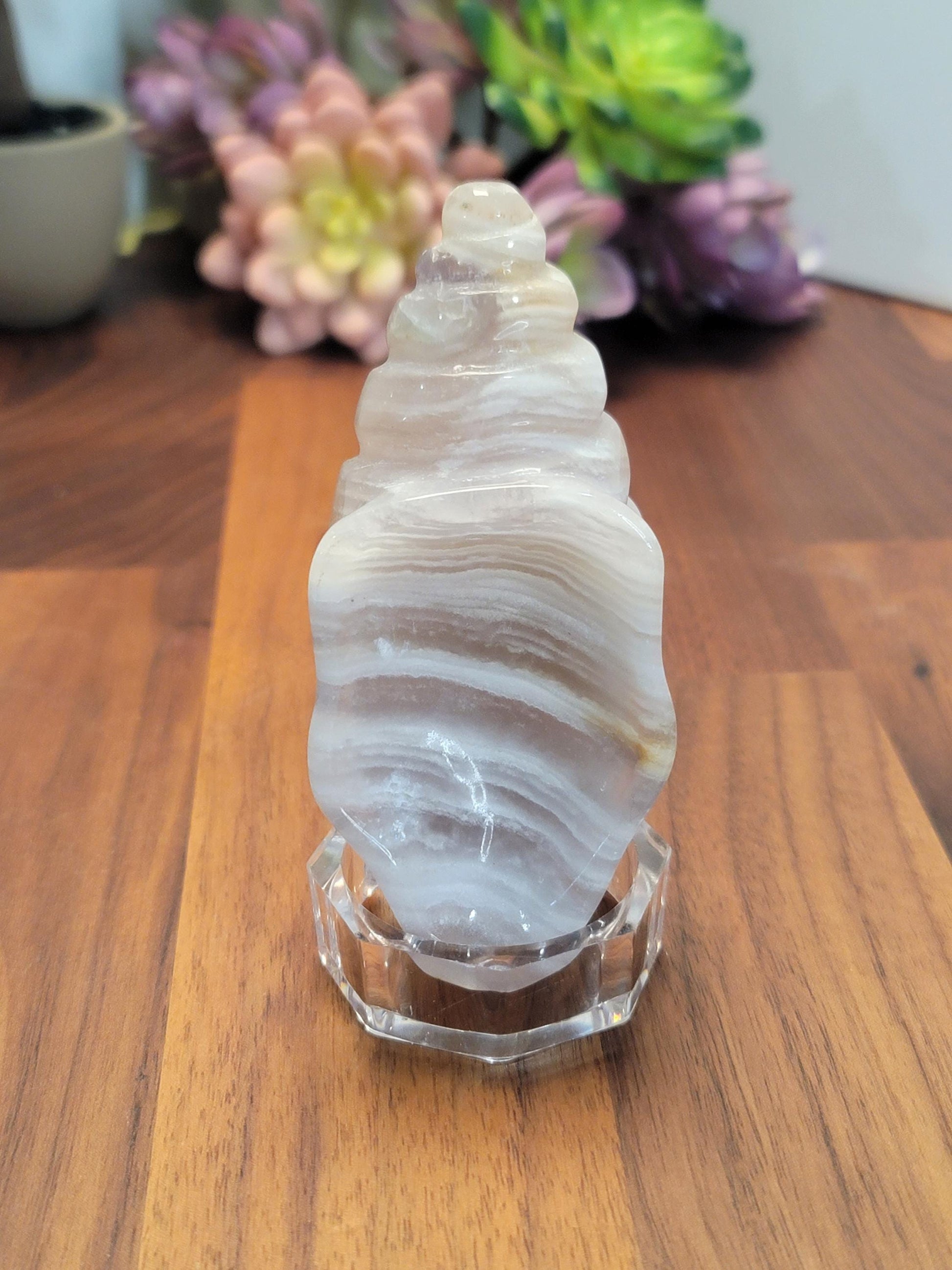 Fluorite Banded Seashell Crystal Carving | A | 3.75 Inches | White Gray and Pink | One of a Kind