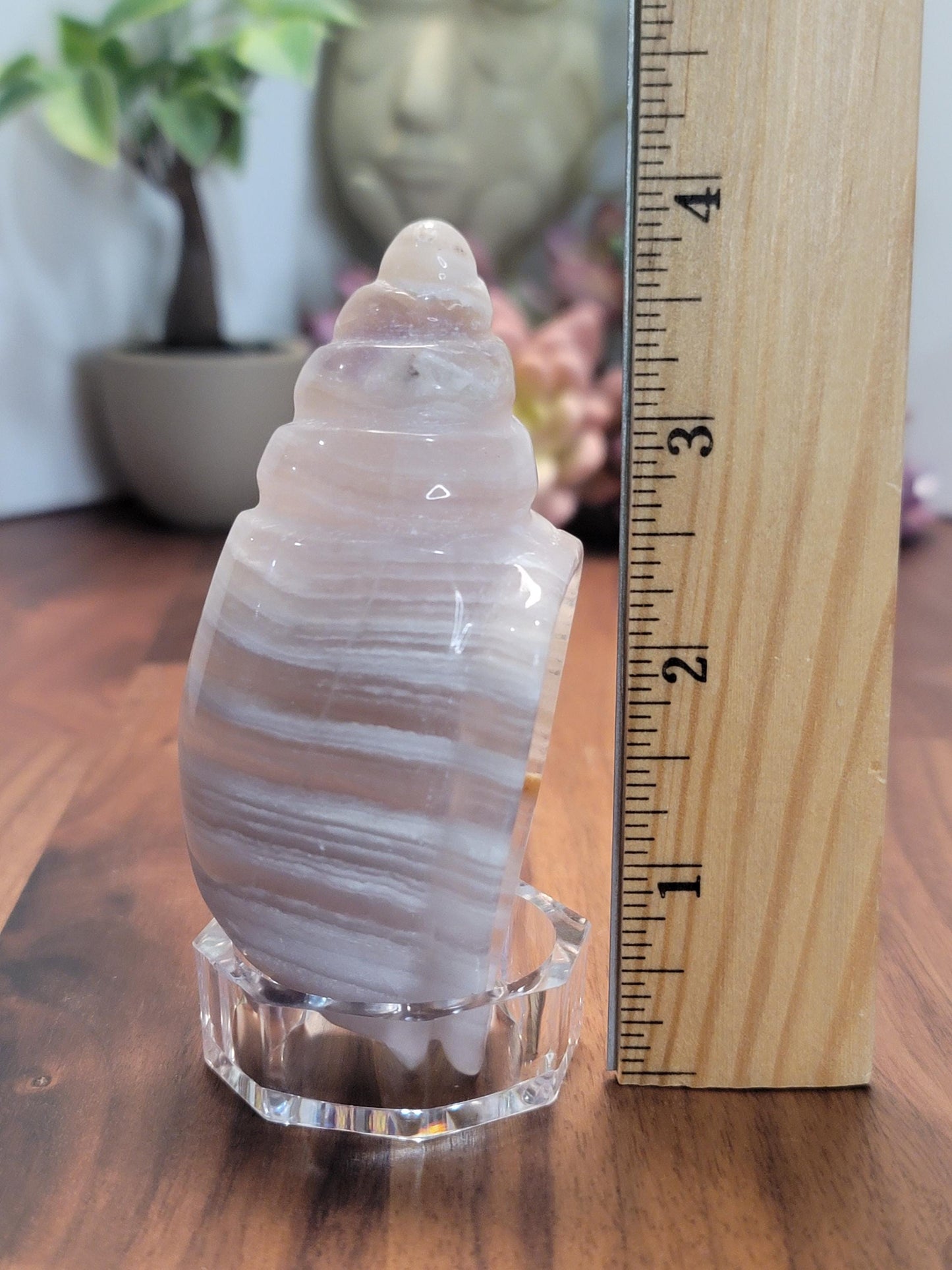 Fluorite Banded Seashell Crystal Carving | A | 3.75 Inches | White Gray and Pink | One of a Kind