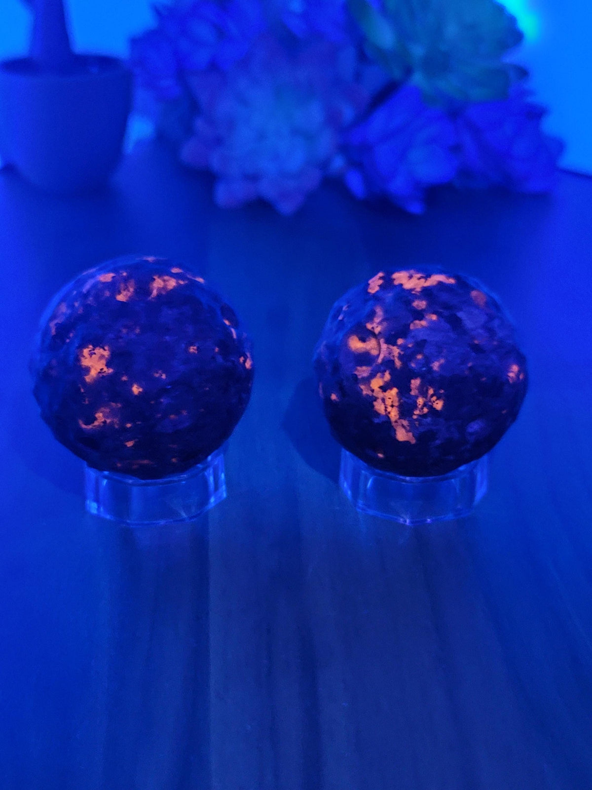 Magical Moon Yooperlite Crystal Carving | 2 Inches | Gray Black and White | UV Reactive | Intuitively Chosen