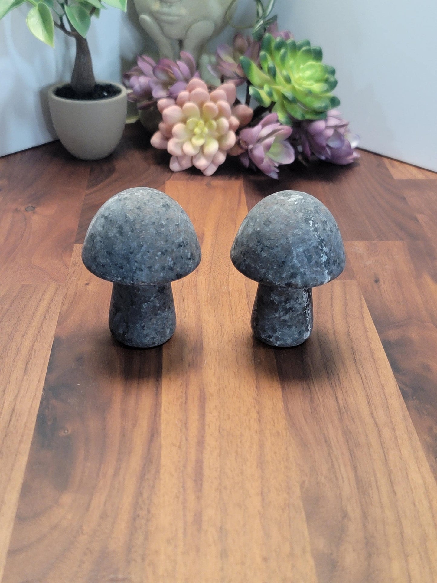 Mellow Yooperlite Mushroom Crystal Carving | 3 Inches | Gray, Black and White | UV Reactive | Intuitively Chosen