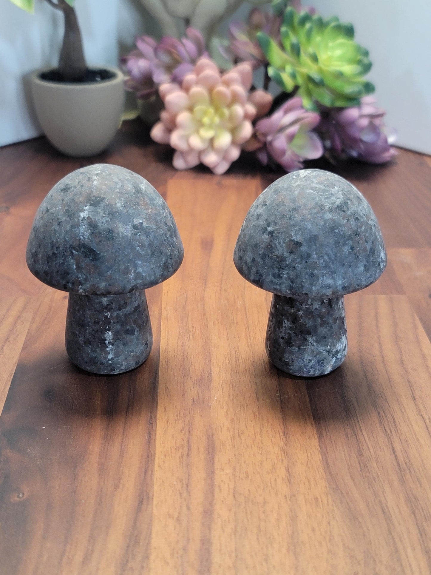 Mellow Yooperlite Mushroom Crystal Carving | 3 Inches | Gray, Black and White | UV Reactive | Intuitively Chosen