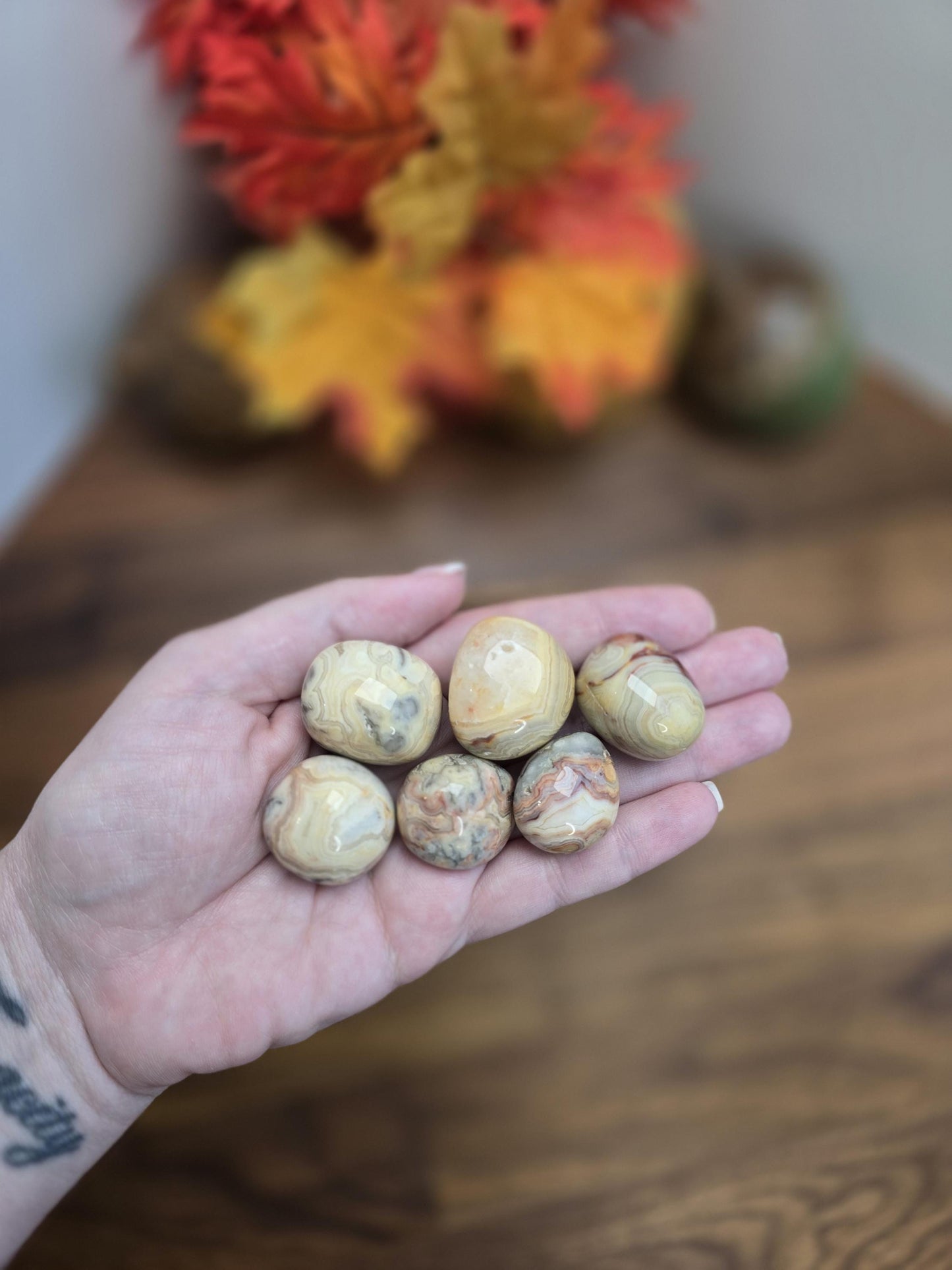 Crazy Lace Agate Crystal Tumble | Gorgeous patterns and banding in Yellow, White, Red, Pink, Gray and clear quratz | Mexico Agate