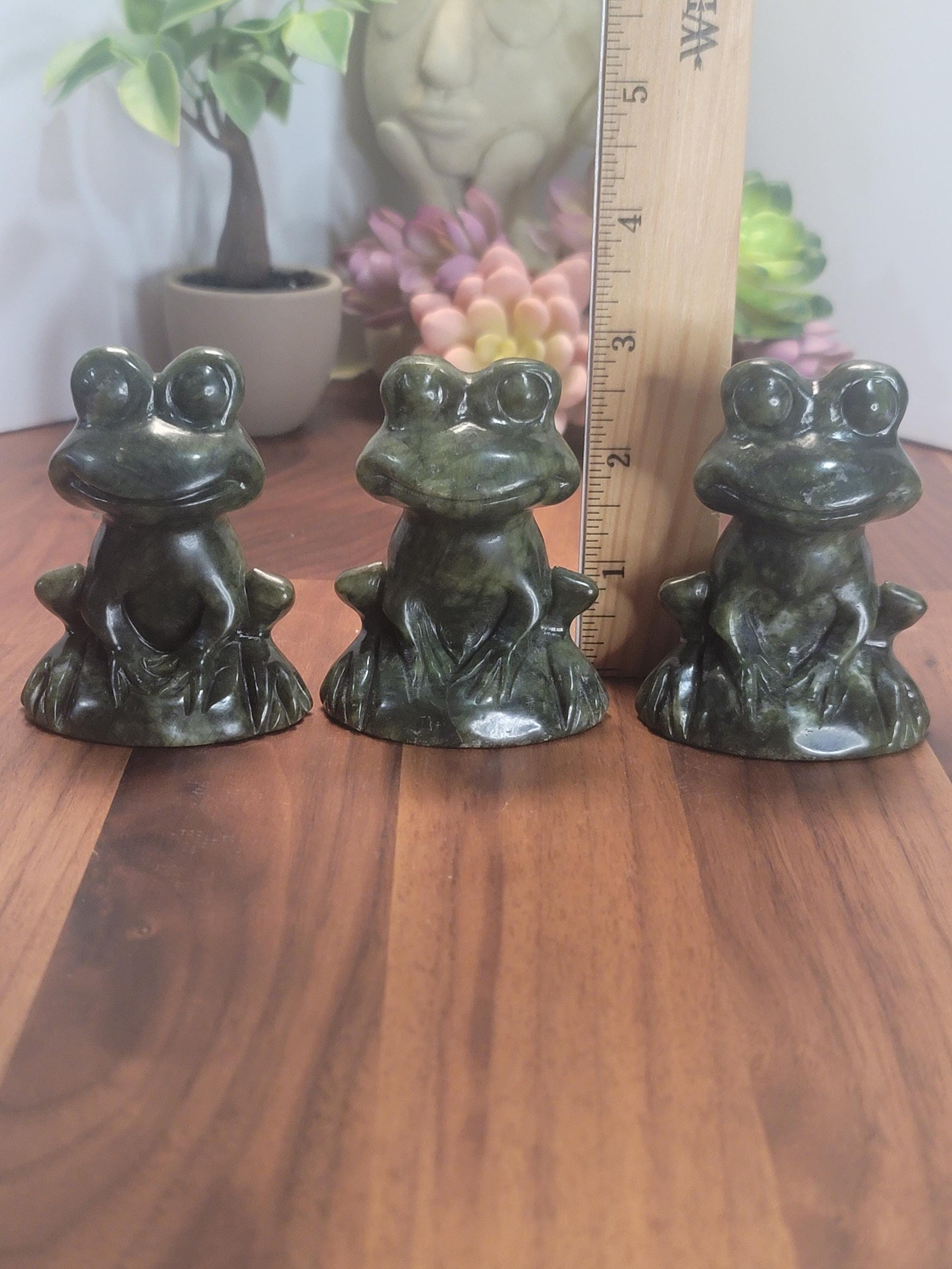 Fancy Froggy Frog Crystal Carving | Green Jade | 3 Inches | Light and Dark Green | Intuitively Chosen