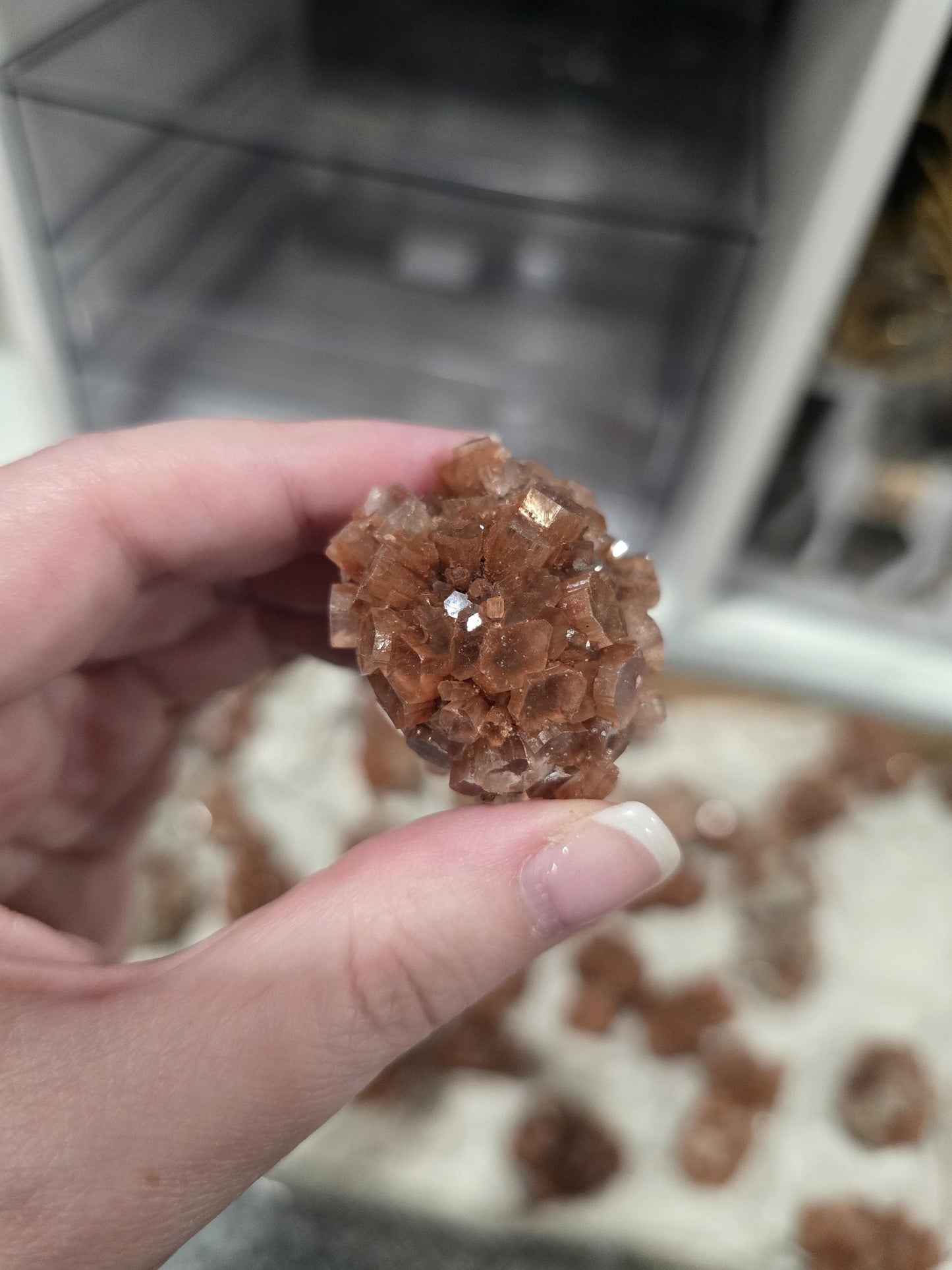 Red Aragonite Star Clusters| Around 1.3 to 2"| Intuitively Chosen