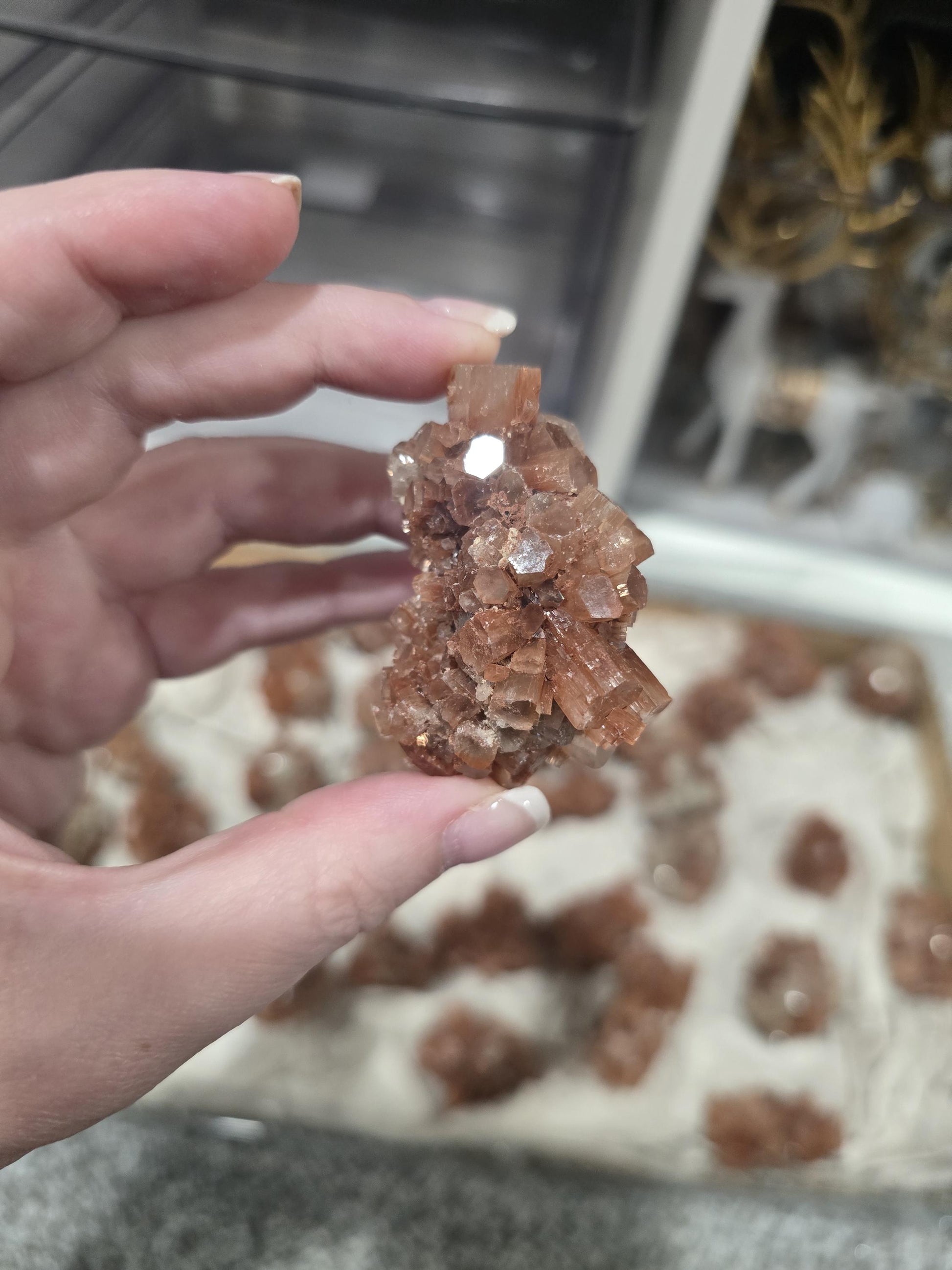 Red Aragonite Star Clusters| Around 1.3 to 2"| Intuitively Chosen