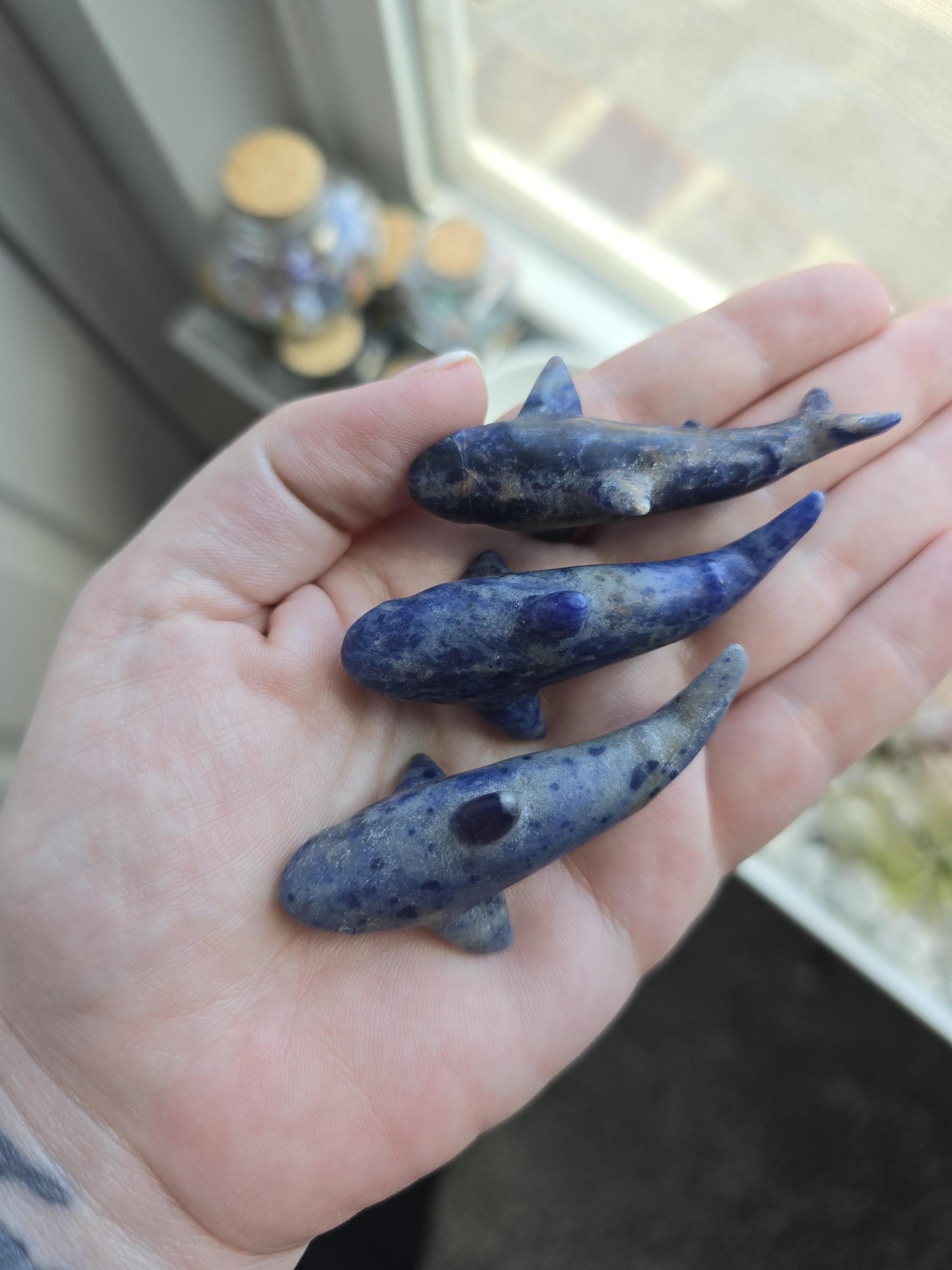 Larvakite Sodalite Shark Carvings | Crystal Sharks | Ocean Creatures | Flashy Lab Jaws | 3D | Intuitively Chosen