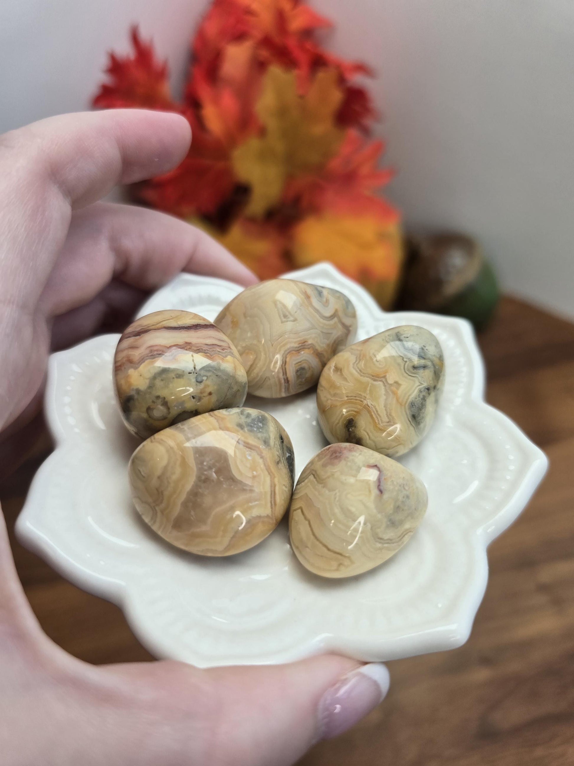 Crazy Lace Agate Crystal Tumble | Gorgeous patterns and banding in Yellow, White, Red, Pink, Gray and clear quratz | Mexico Agate