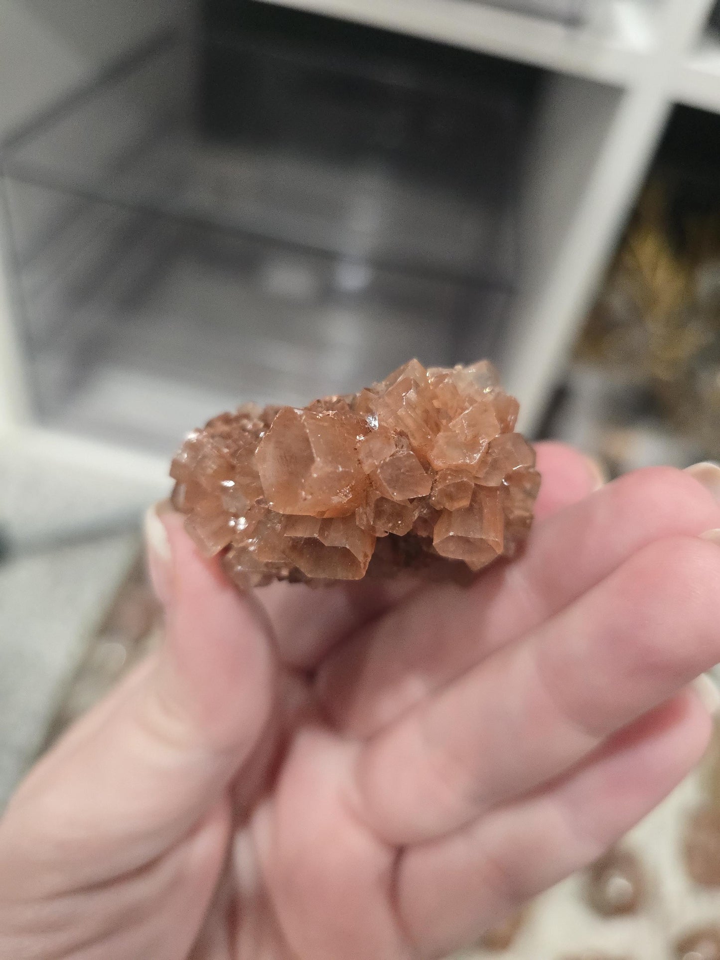 Red Aragonite Star Clusters| Around 1.3 to 2"| Intuitively Chosen