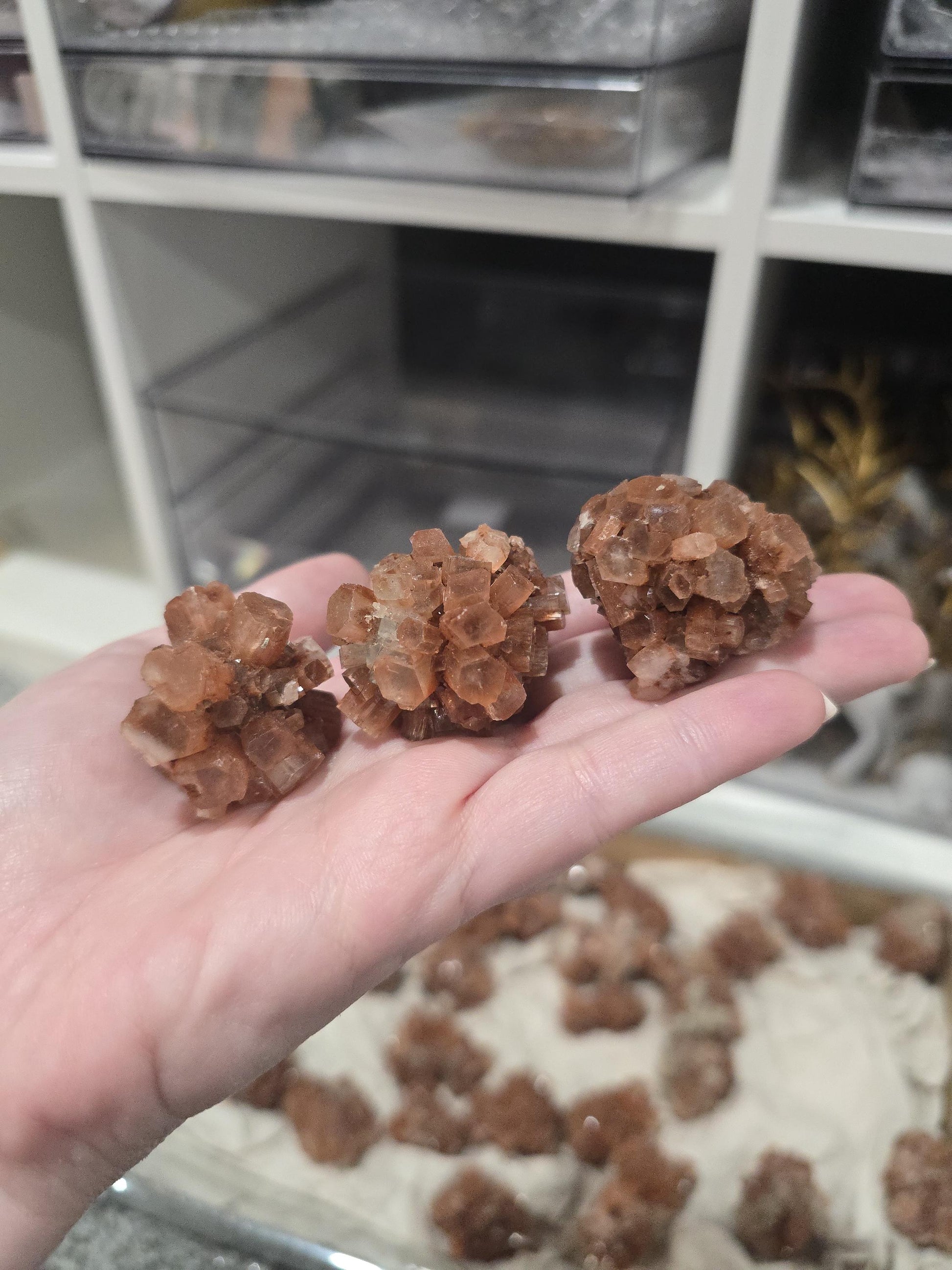 Red Aragonite Star Clusters| Around 1.3 to 2"| Intuitively Chosen