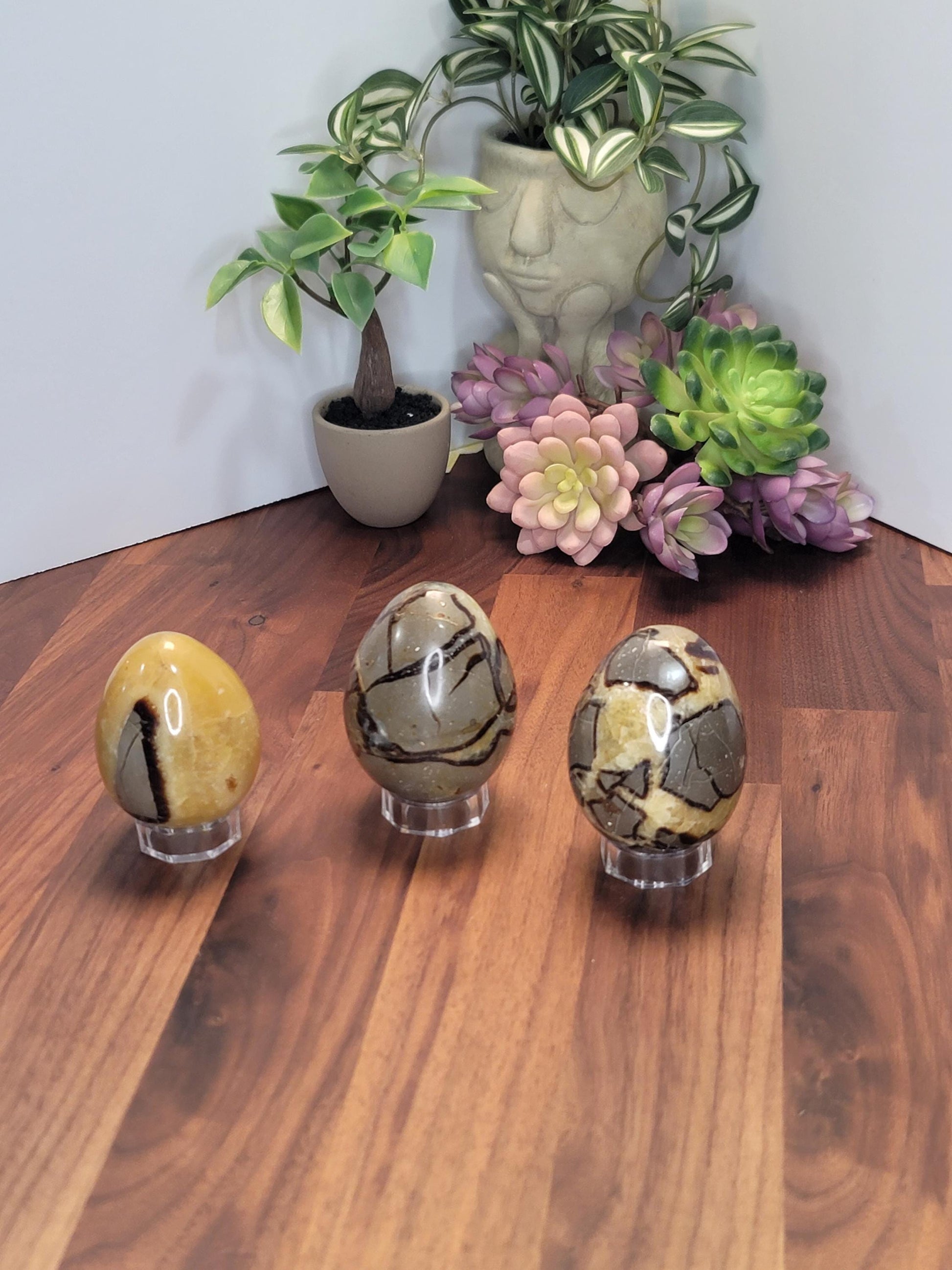 Septarian Crystal Dragon Egg | 2.5 Inches | Yellow Gray and Brown | Intuitively Chosen