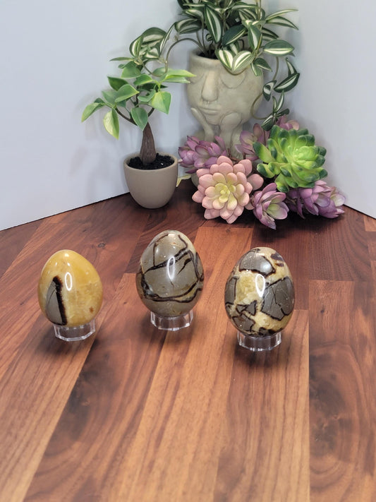 Septarian Crystal Dragon Egg | 2.5 Inches | Yellow Gray and Brown | Intuitively Chosen