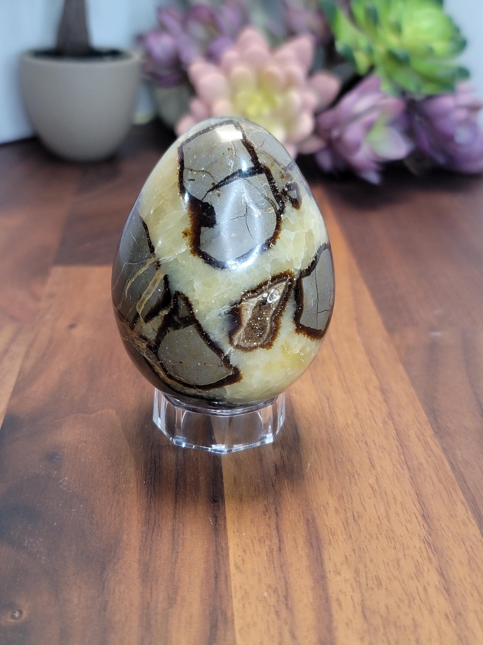 Septarian Crystal Dragon Egg | 2.5 Inches | Yellow Gray and Brown | Intuitively Chosen