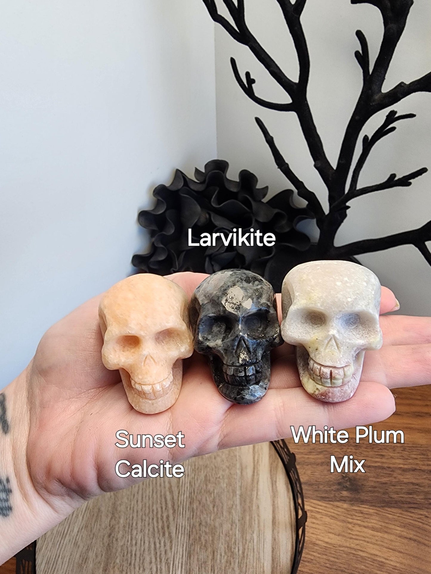 Cool Crystal Skulls | 2" Halloween Carvings in mixed materials making each one unique | Witchy Spooky Season Vibes | Intuitively Chosen