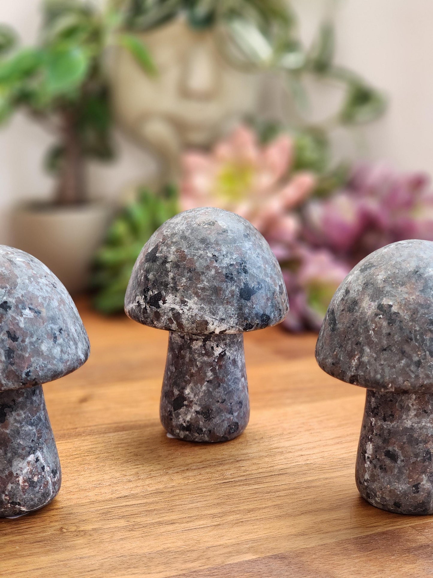 Magical Yooperlite Mushroom Crystal | UV Reactive (Blacklight) Carvings | Cottagecore Home Decor or Spooky Season | Geology Rocks Kids Gifts