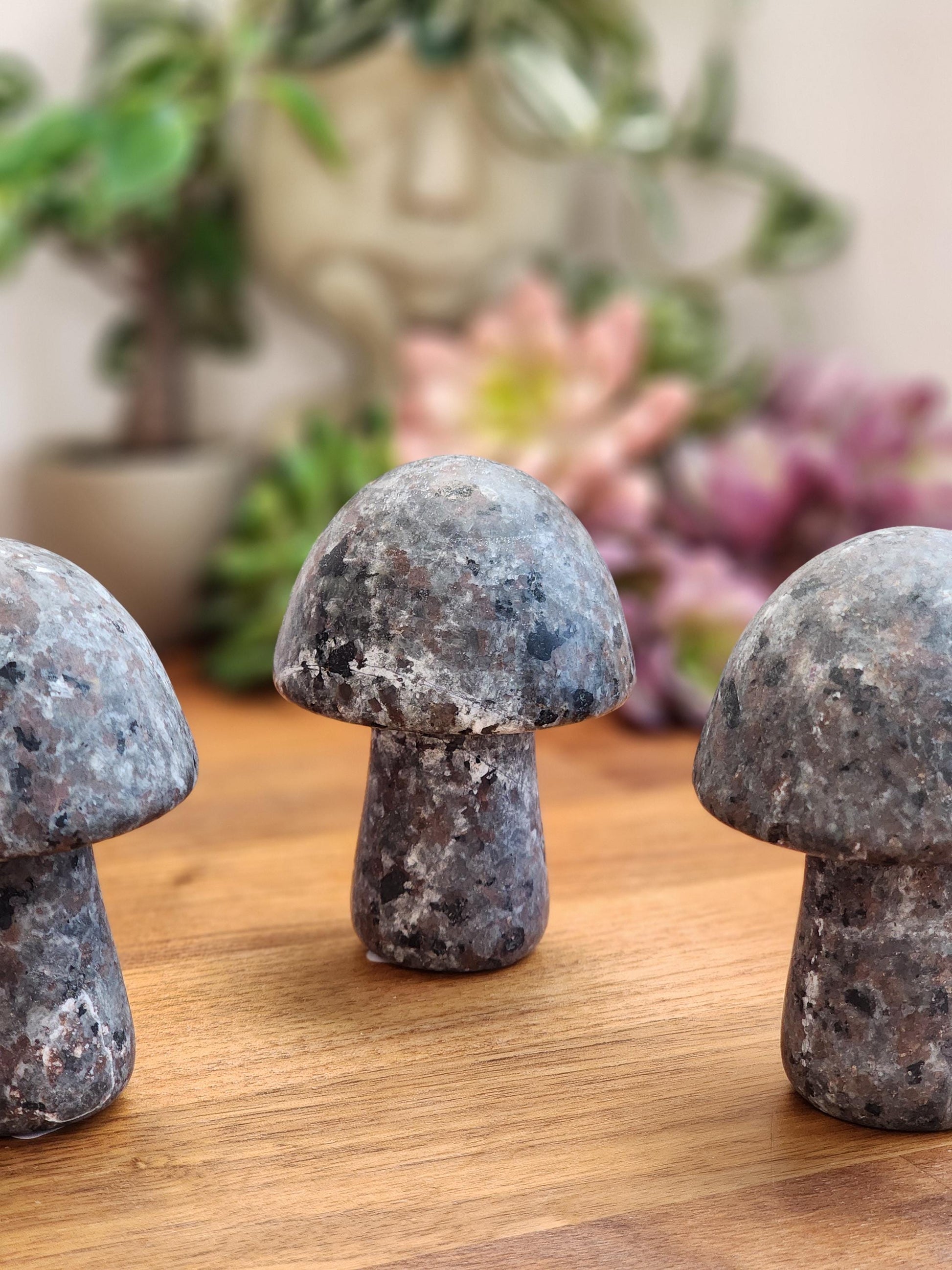 Magical Yooperlite Mushroom Crystal | UV Reactive (Blacklight) Carvings | Cottagecore Home Decor or Spooky Season | Geology Rocks Kids Gifts