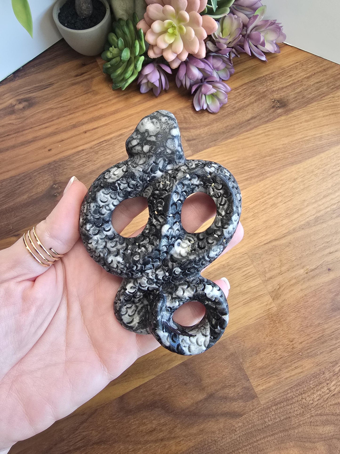 Rare Orthoceras Fossil Snake | Crystal Serpent Figurine | Black & Gray Halloween and Goth Home Decor for Dark Academia or Spooky Season