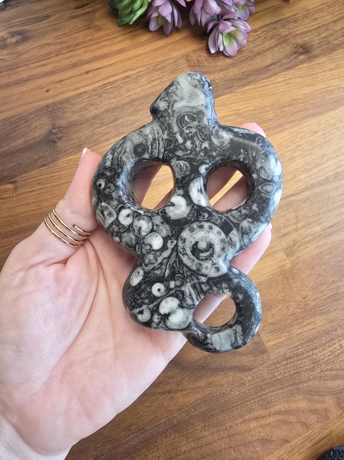Rare Orthoceras Fossil Snake | Crystal Serpent Figurine | Black & Gray Halloween and Goth Home Decor for Dark Academia or Spooky Season