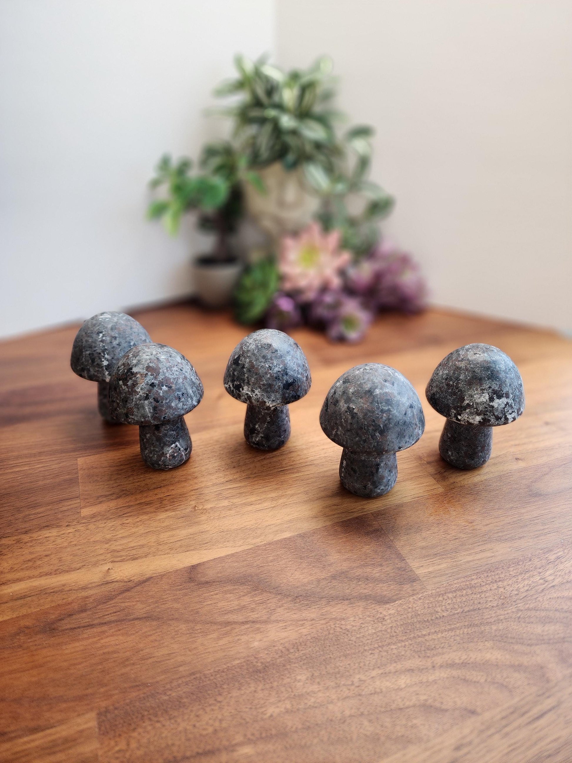 Magical Yooperlite Mushroom Crystal | UV Reactive (Blacklight) Carvings | Cottagecore Home Decor or Spooky Season | Geology Rocks Kids Gifts