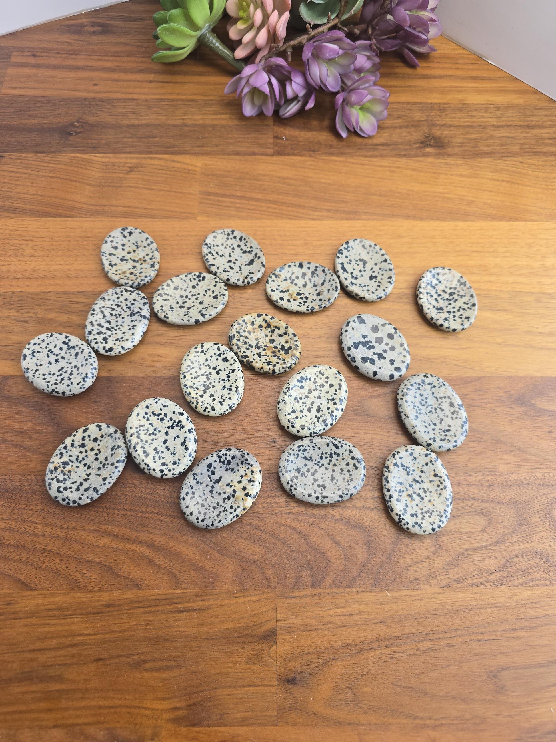 Dalmatian Jasper Worry Stone: Natural Polka Dot Crystal Thumb Stone