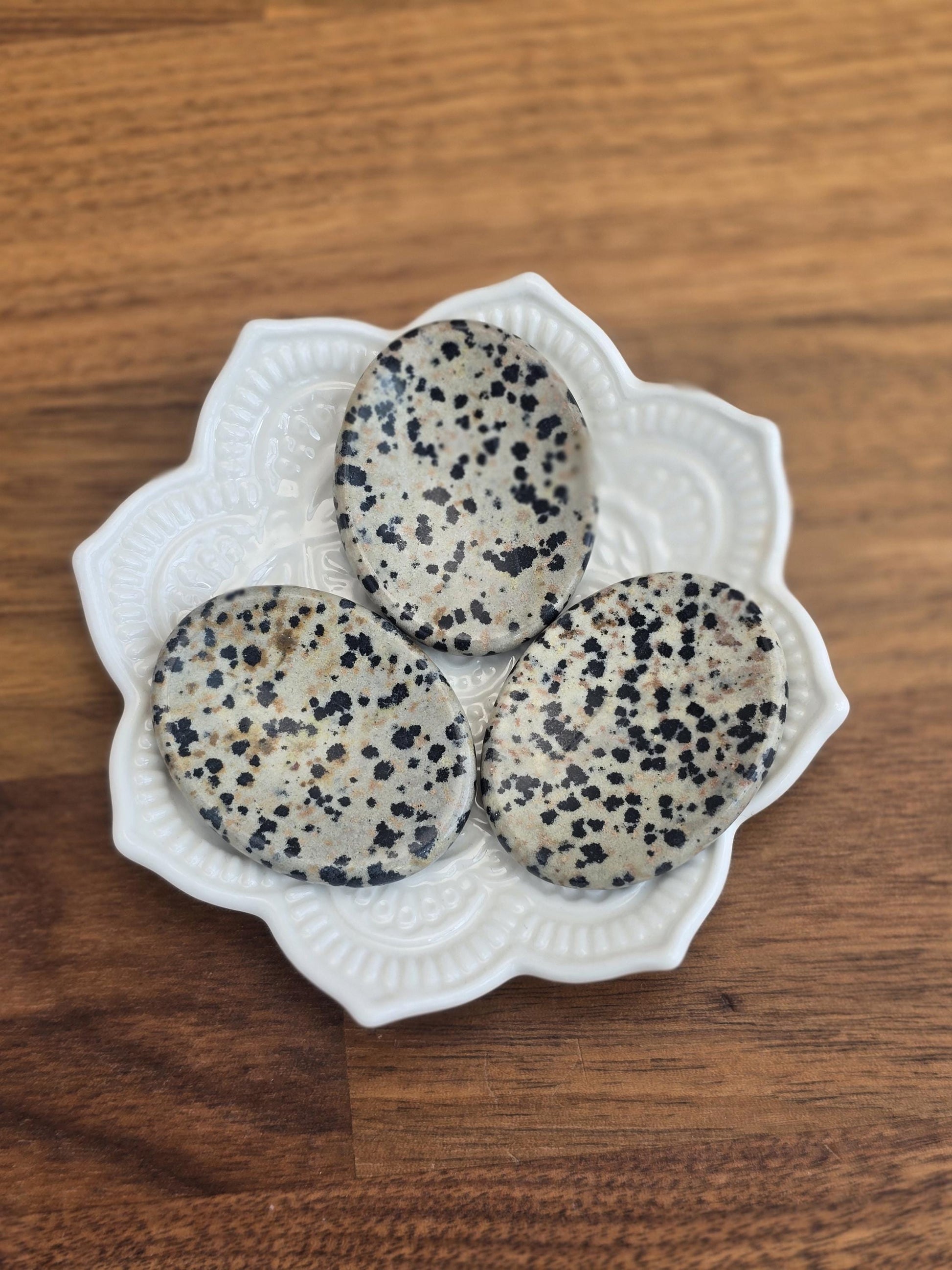 Worry Stone: Dalmatian Jasper with Black Polka Dots - Smooth Pocket Crystal