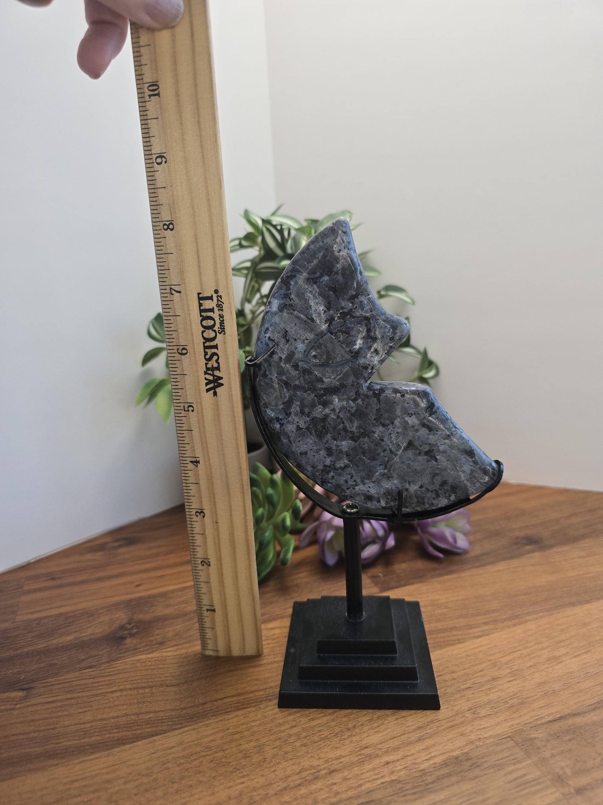 Crystal Moon Stand: Bendable Metal in Silver or Gold