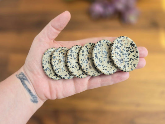 Worry Stone: Dalmatian Jasper with Black Polka Dots - Smooth Pocket Crystal